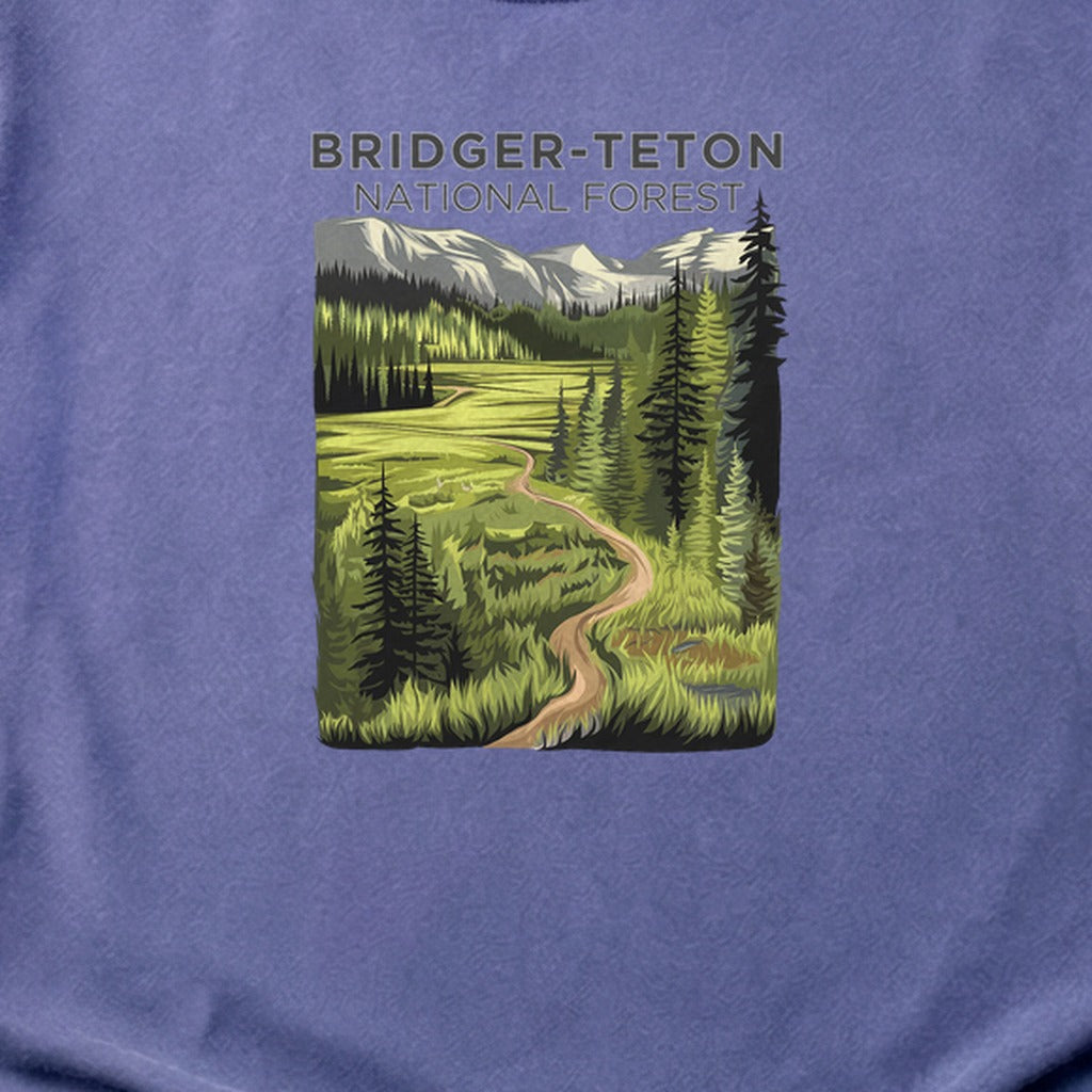 Bridger-Teton National Forest Cotton T-Shirt