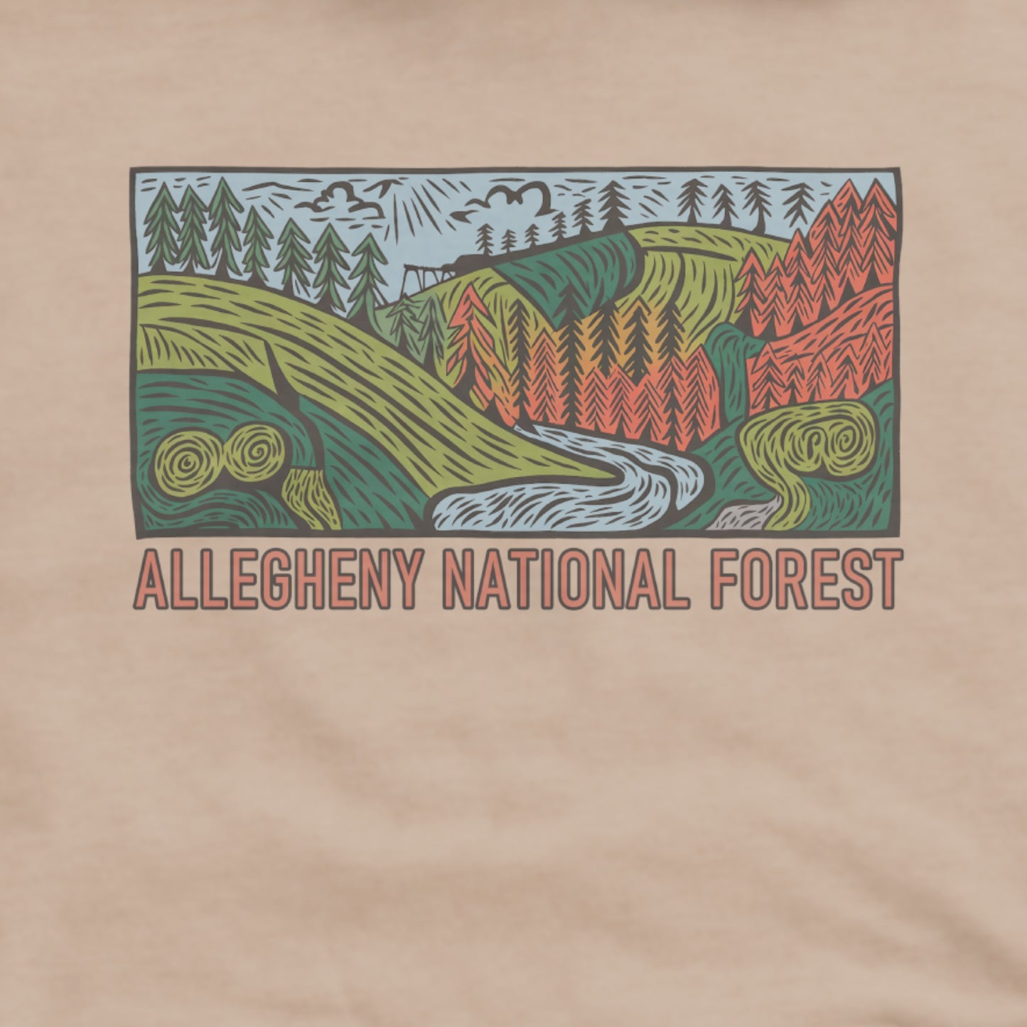 Allegheny National Forest Hoodie Adventure and Outdoors Themed Hoodie