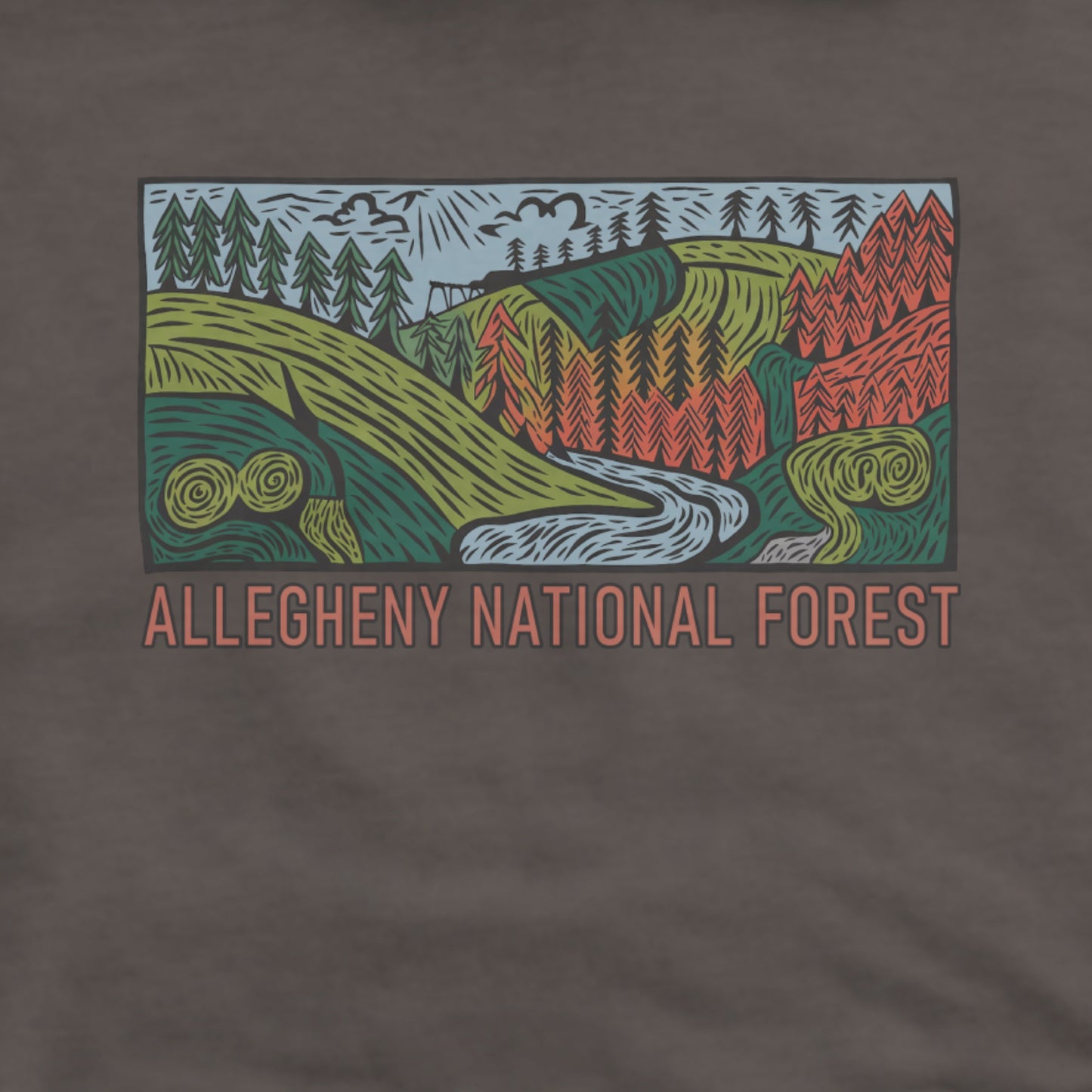 Allegheny National Forest Hoodie Adventure and Outdoors Themed Hoodie