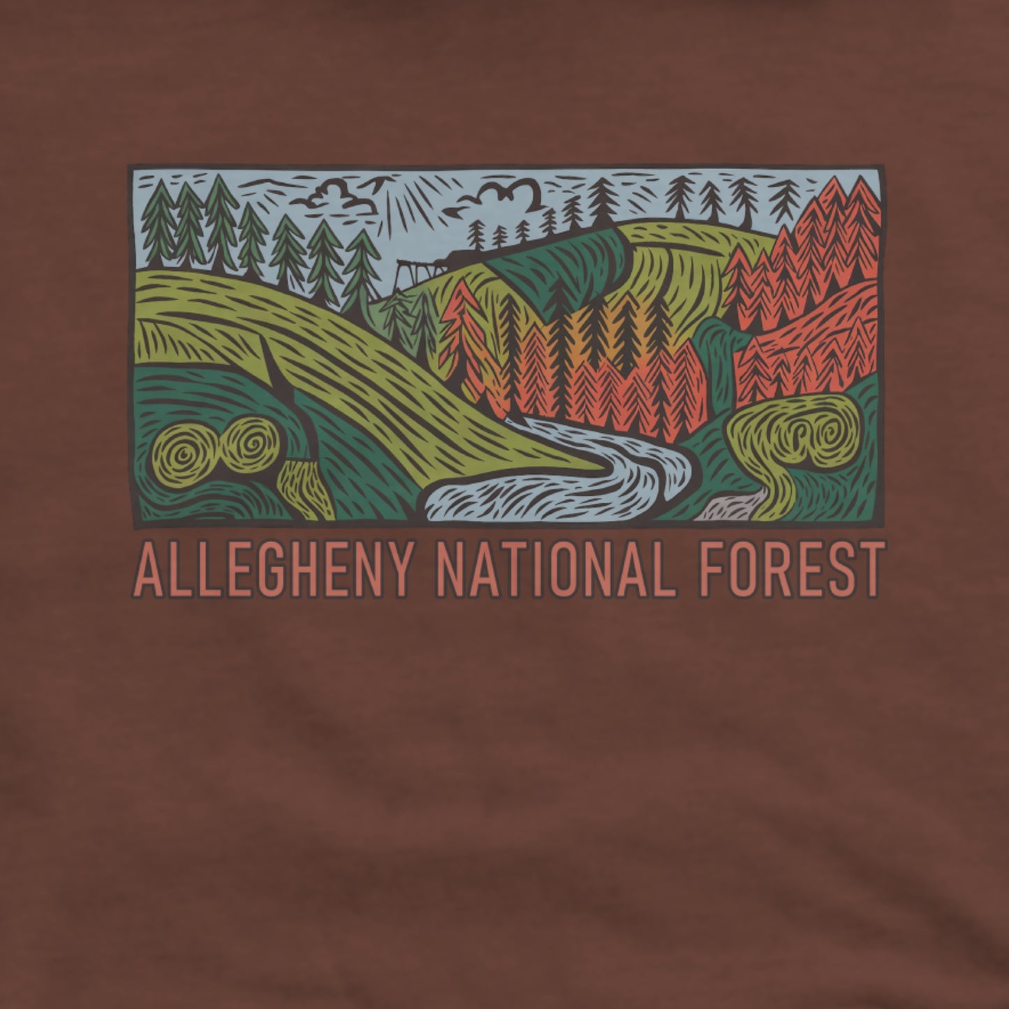 Allegheny National Forest Hoodie Adventure and Outdoors Themed Hoodie