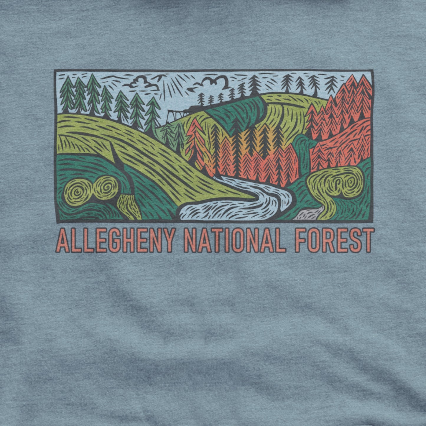 Allegheny National Forest Hoodie Adventure and Outdoors Themed Hoodie