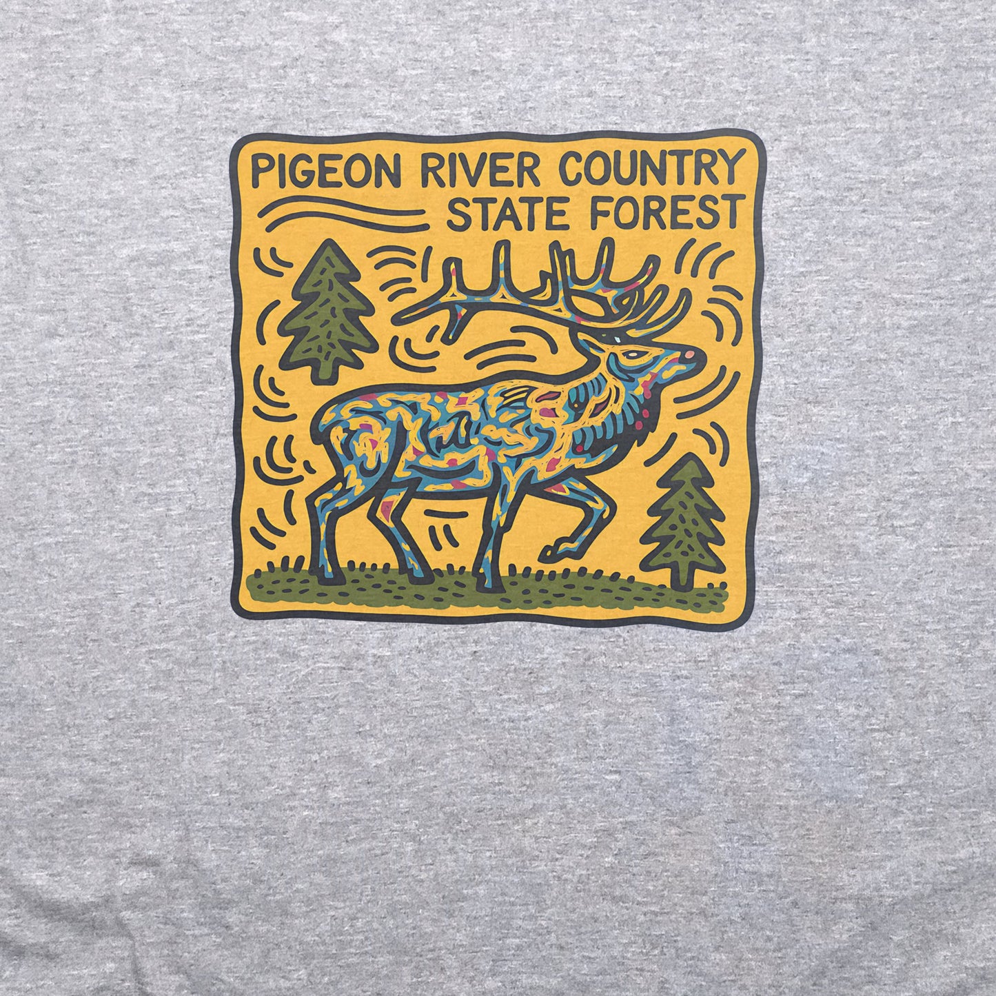 Pigeon River Country State Forest T-Shirt Adventure and Outdoors Themed T-Shirt