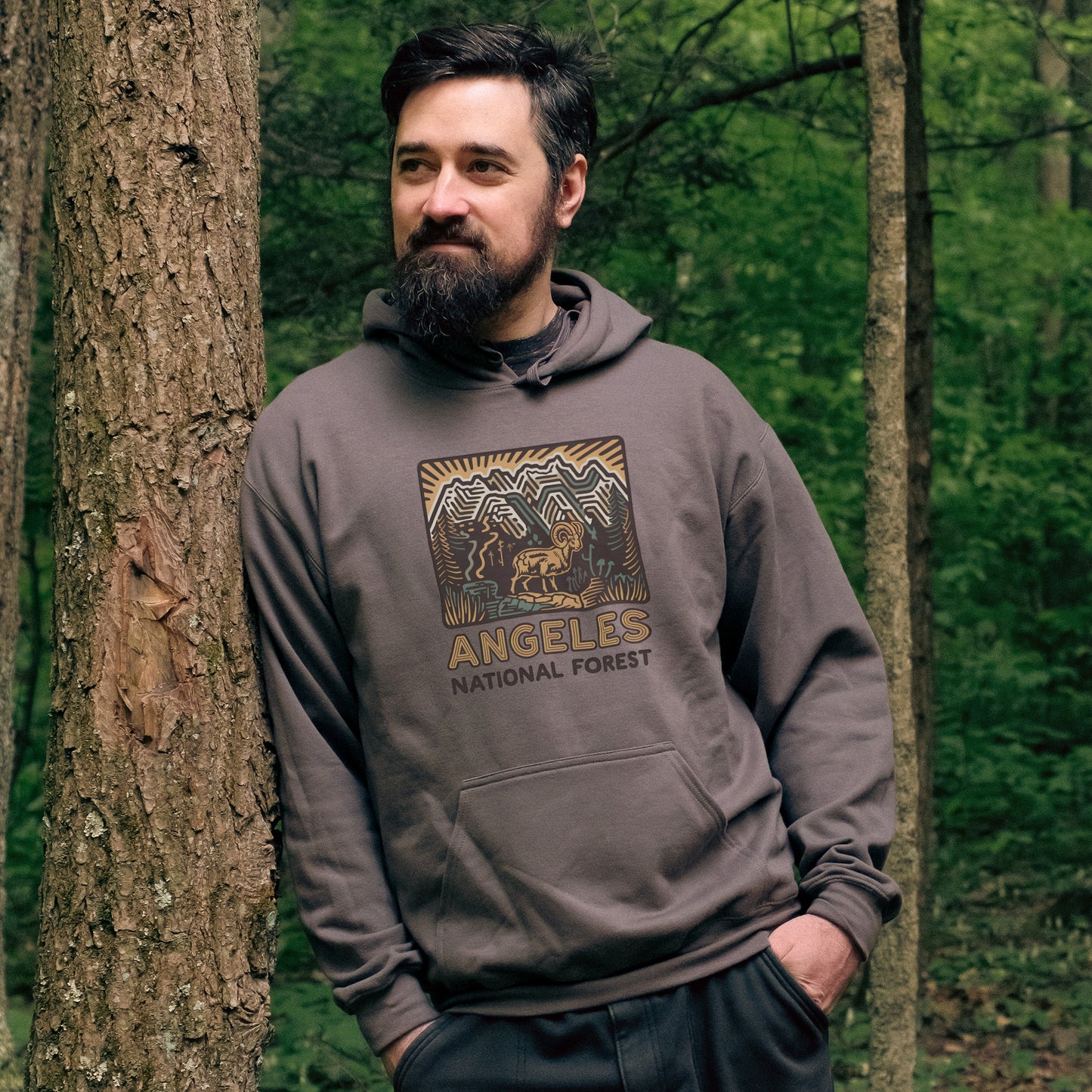 Angeles National Forest Hoodie Adventure and Outdoors Themed Hoodie