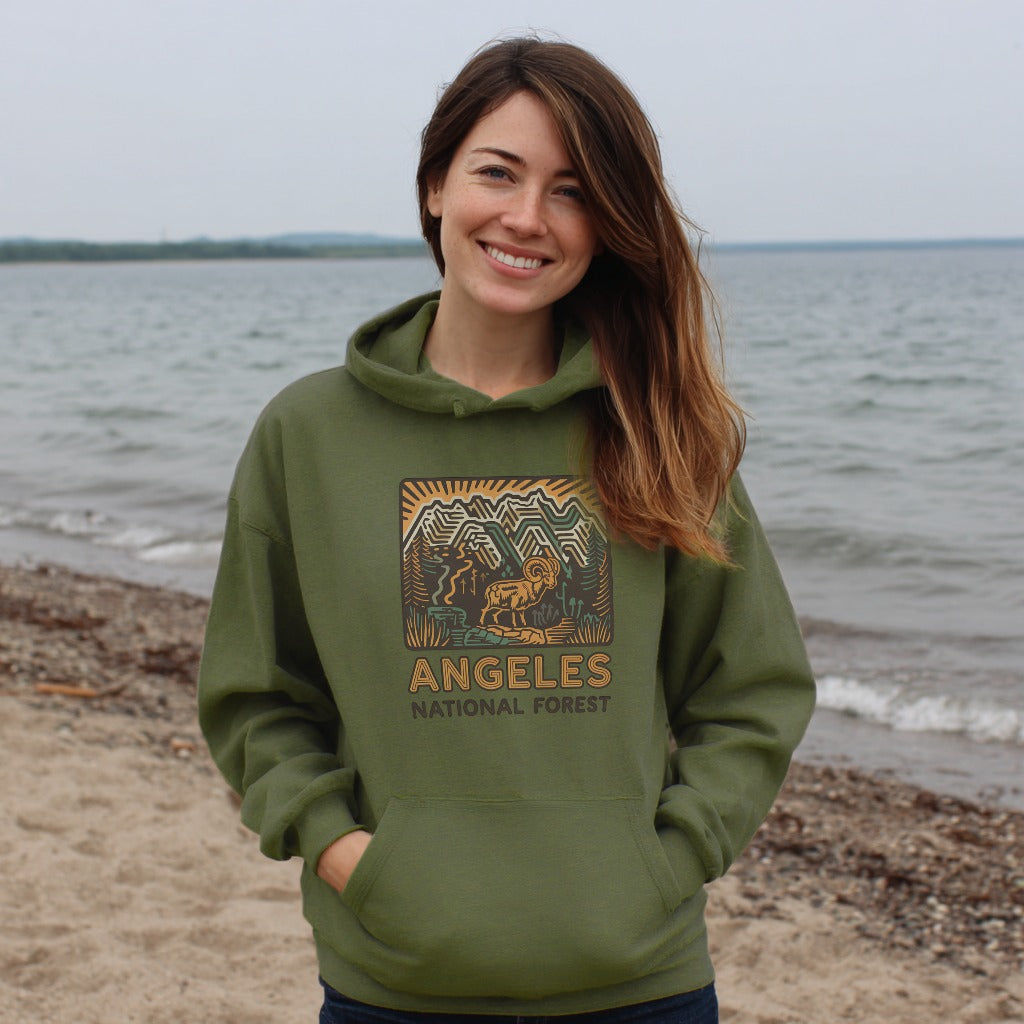 Angeles National Forest Hoodie Adventure and Outdoors Themed Hoodie