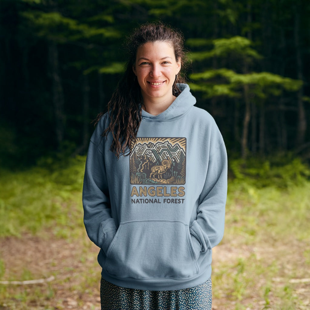 Angeles National Forest Hoodie Adventure and Outdoors Themed Hoodie