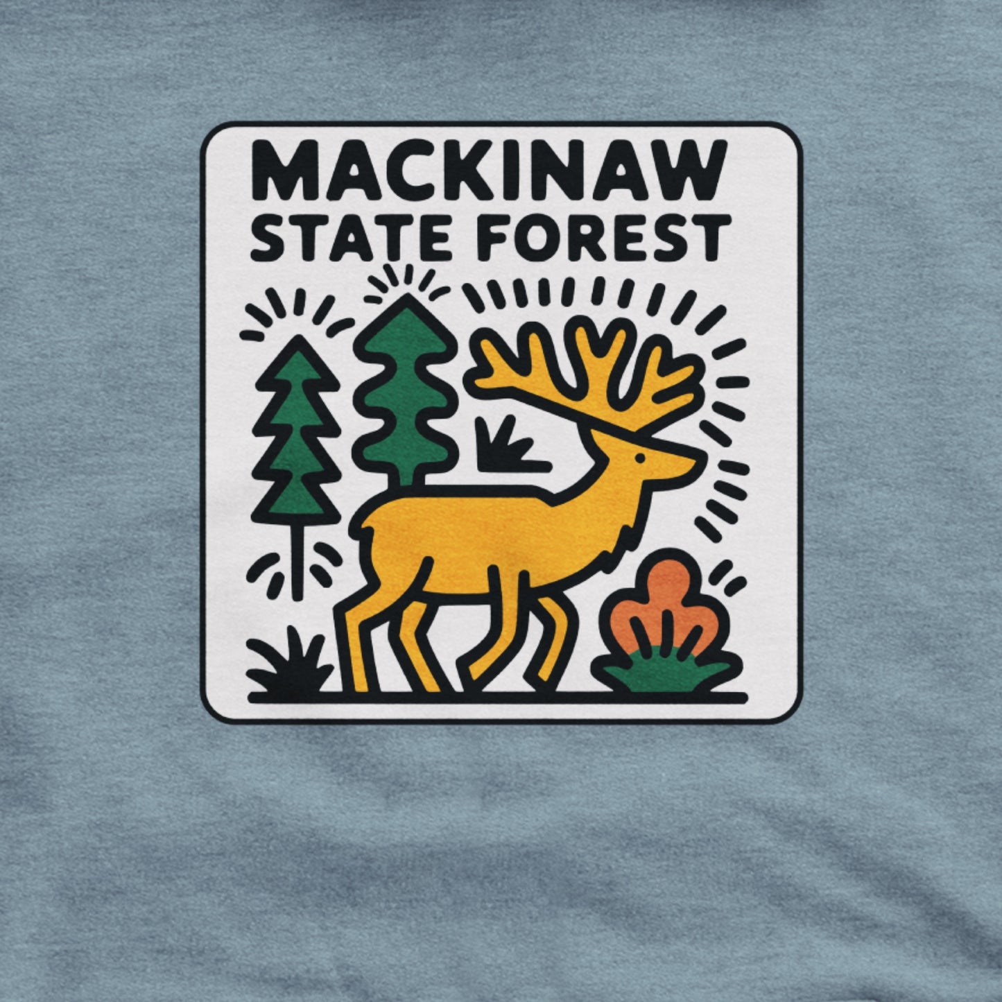 Mackinaw State Forest Hoodie Adventure and Outdoors Themed Hoodie