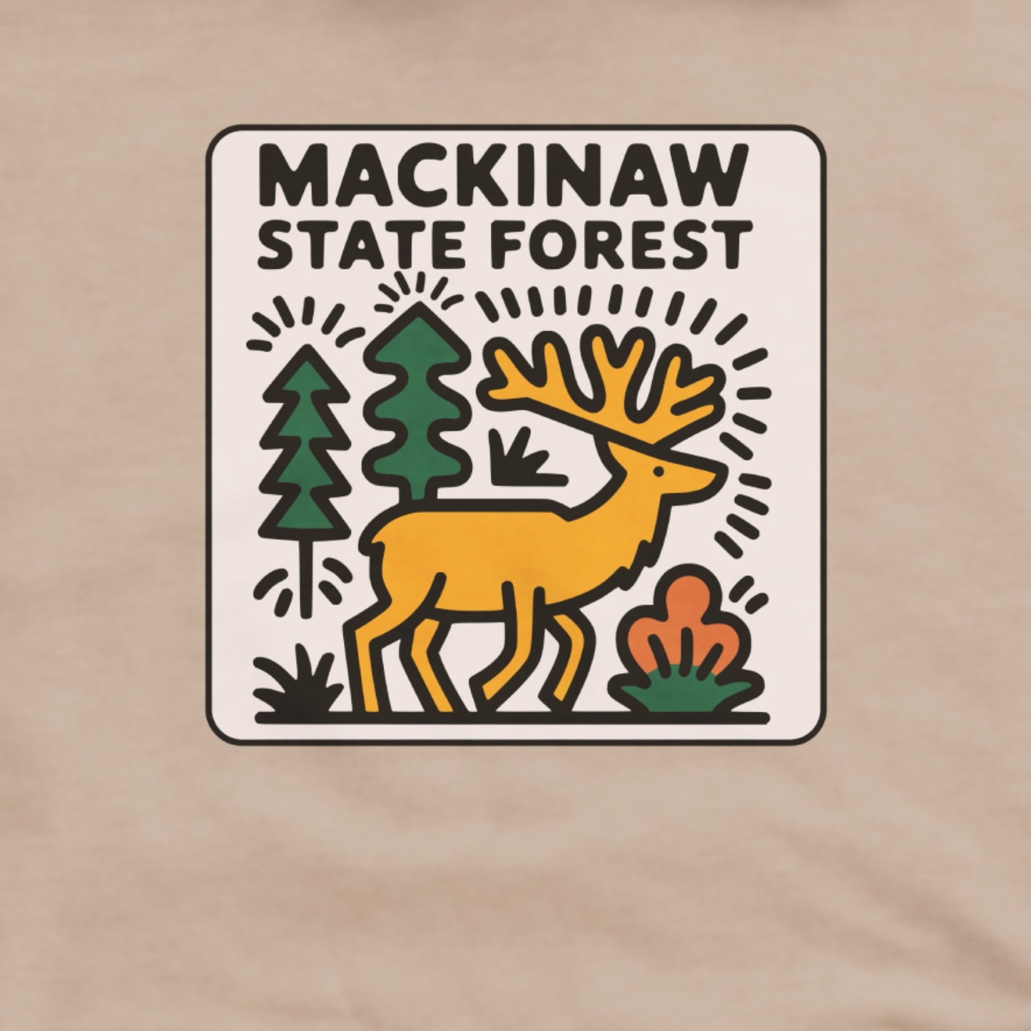 Mackinaw State Forest Hoodie Adventure and Outdoors Themed Hoodie