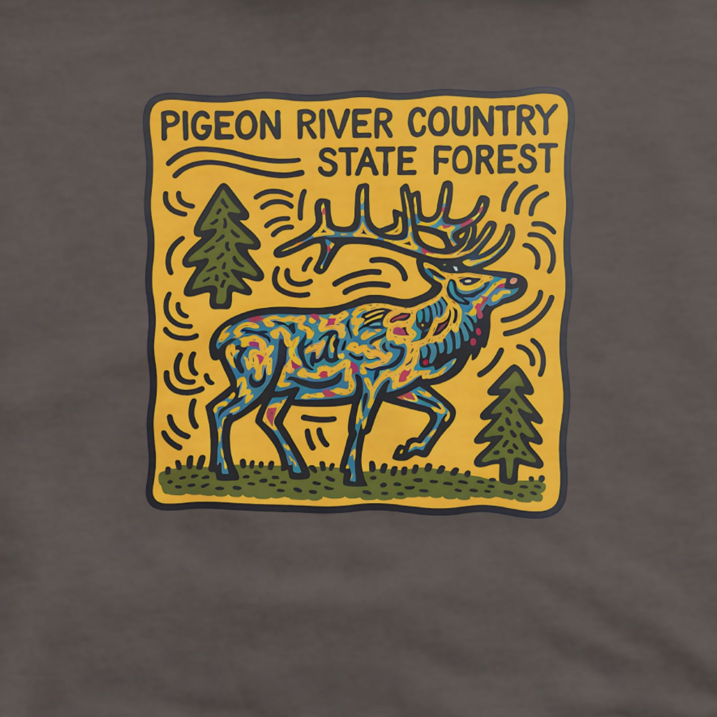 Pigeon River Country State Forest Hoodie Adventure and Outdoors Themed Hoodie