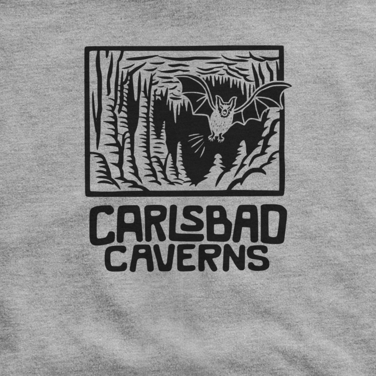 Carlsbad Caverns National Park Hoodie Adventure and Outdoors Themed Hoodie