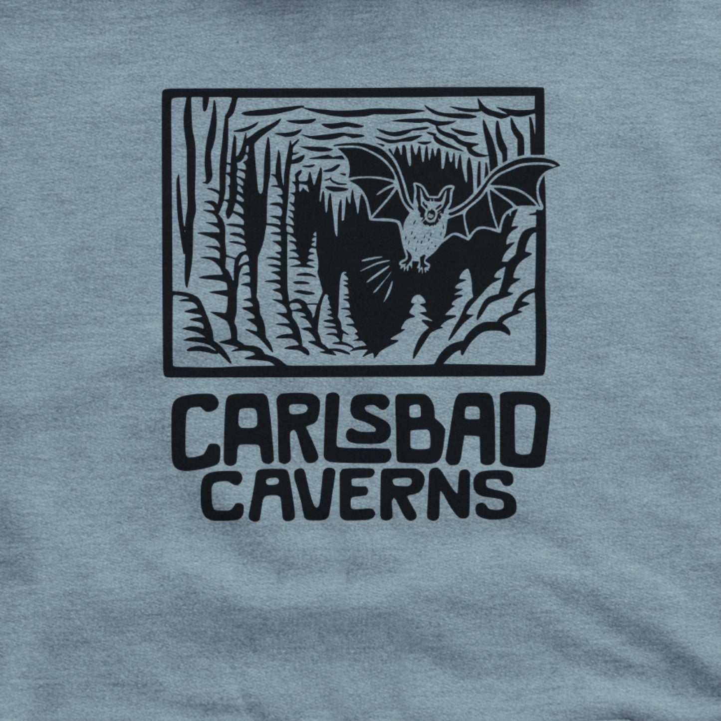 Carlsbad Caverns National Park Hoodie Adventure and Outdoors Themed Hoodie