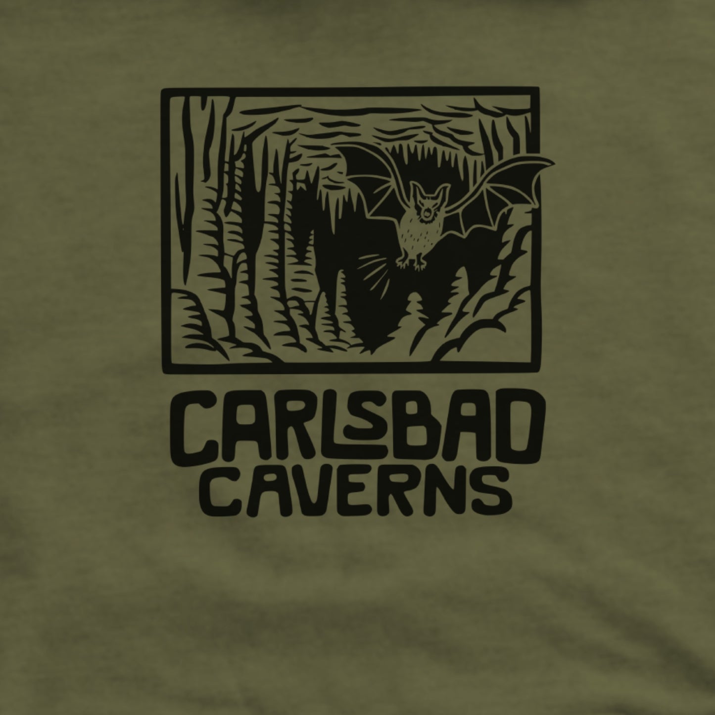 Carlsbad Caverns National Park Hoodie Adventure and Outdoors Themed Hoodie