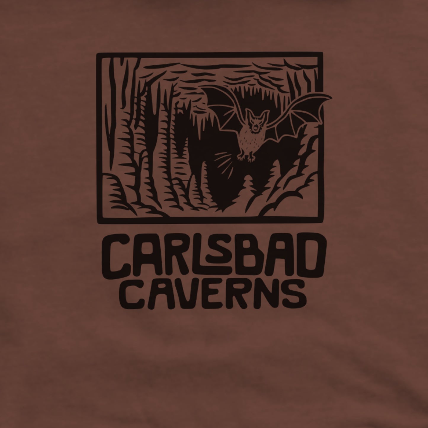 Carlsbad Caverns National Park Hoodie Adventure and Outdoors Themed Hoodie