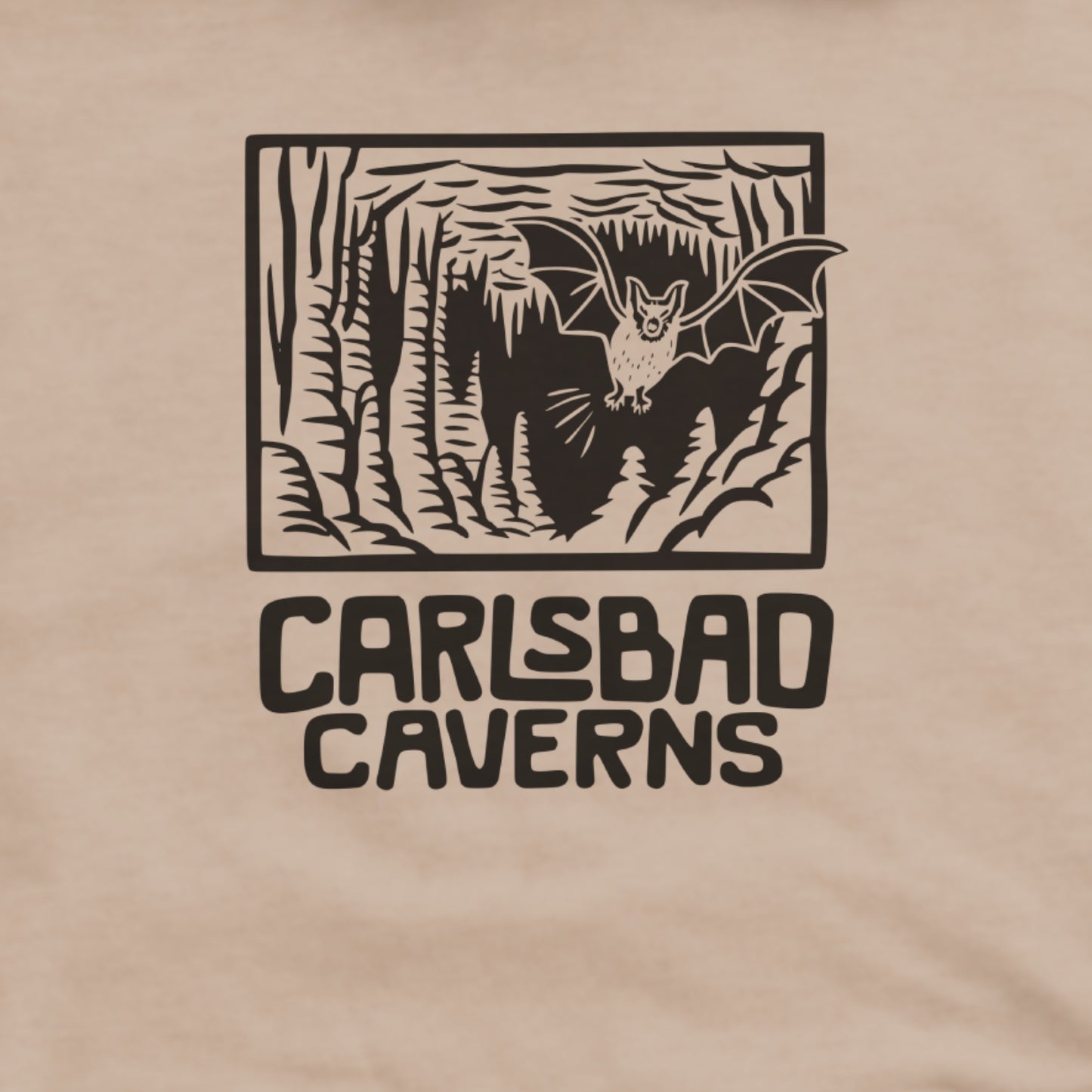 Carlsbad Caverns National Park Hoodie Adventure and Outdoors Themed Hoodie
