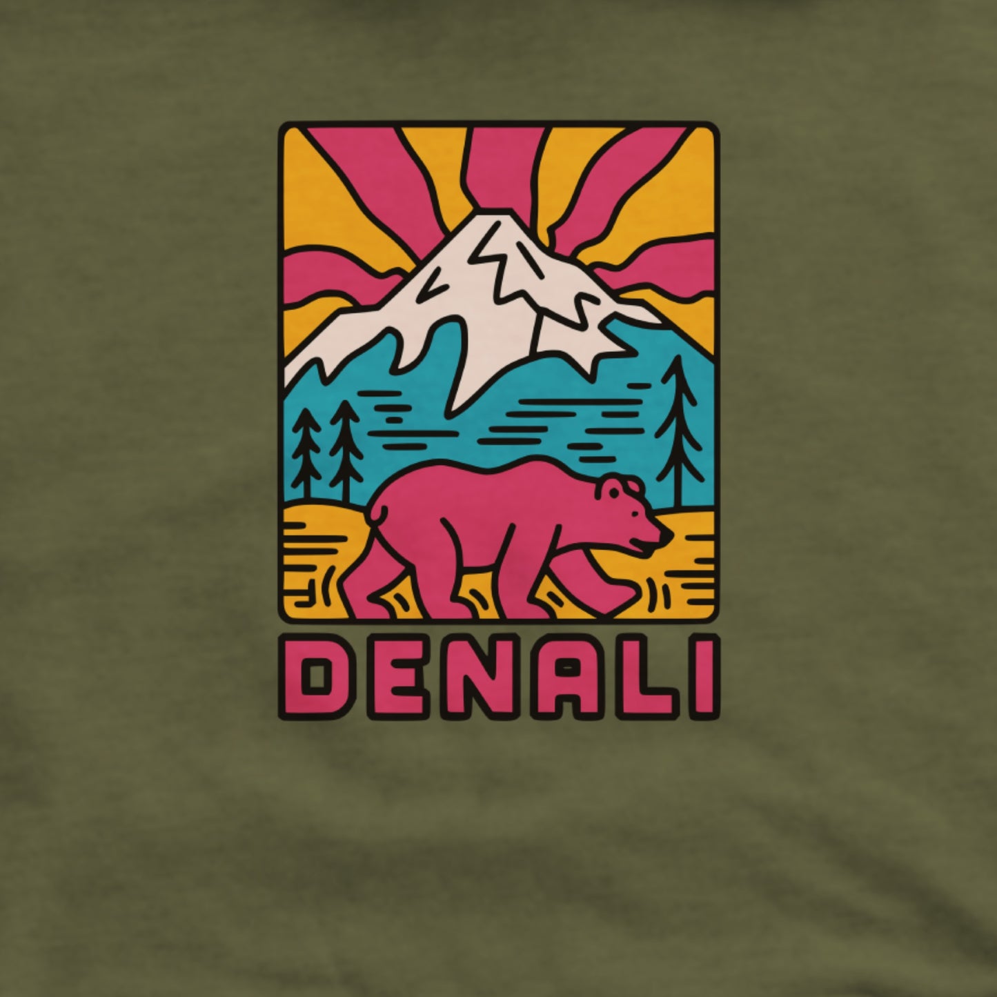 Denali National Park Hoodie Adventure and Outdoors Themed Hoodie