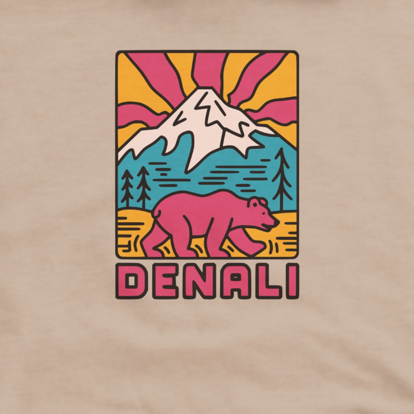 Denali National Park Hoodie Adventure and Outdoors Themed Hoodie