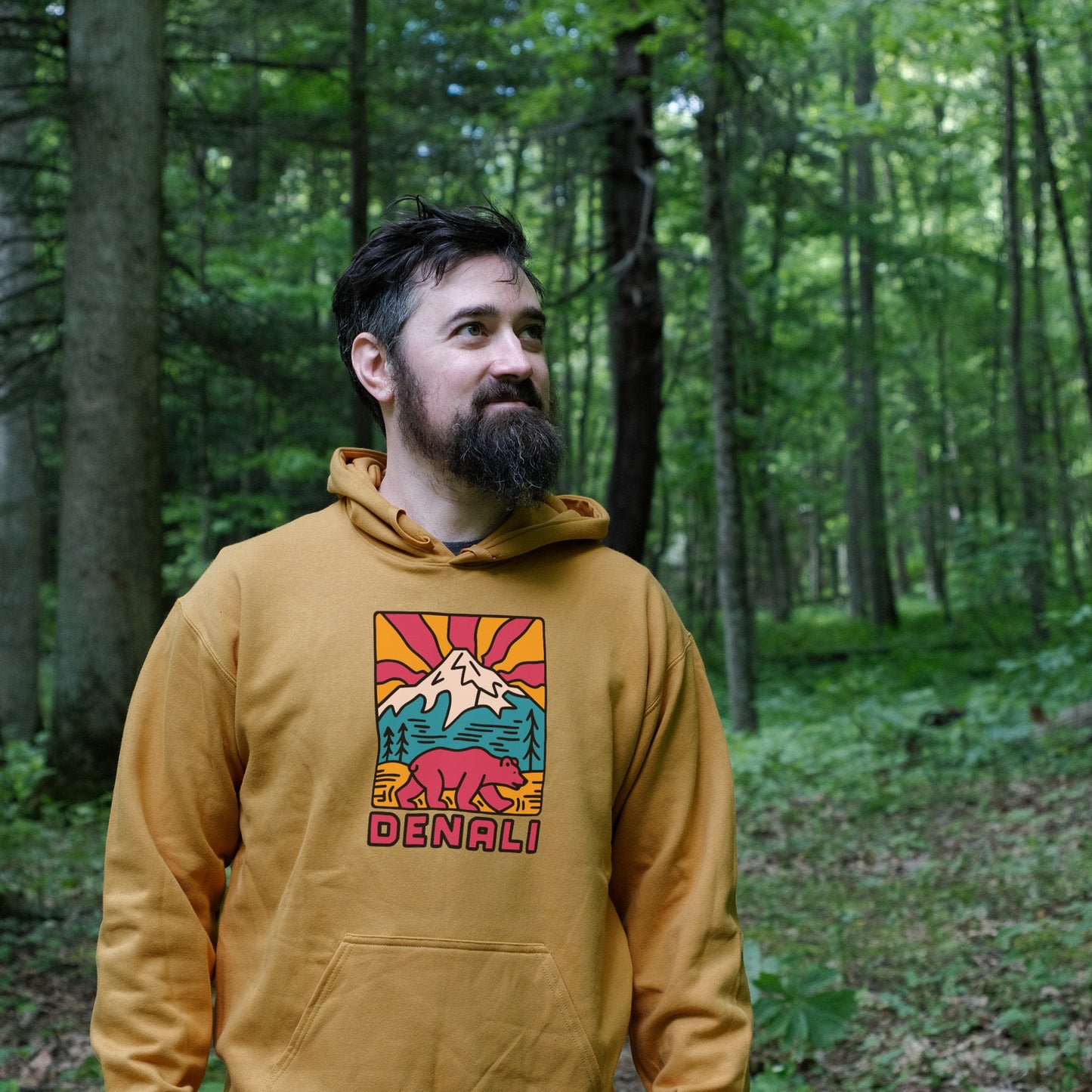 Denali National Park Hoodie Adventure and Outdoors Themed Hoodie