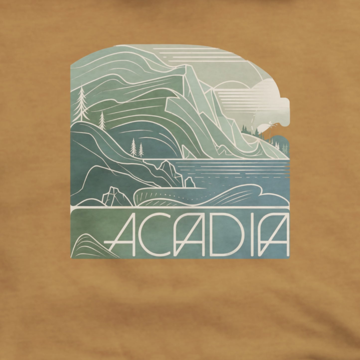 Acadia National Park Hoodie Adventure and Outdoors Themed Hoodie