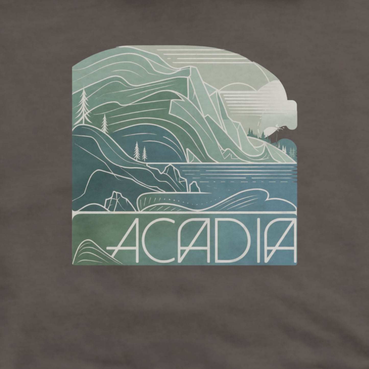 Acadia National Park Hoodie Adventure and Outdoors Themed Hoodie