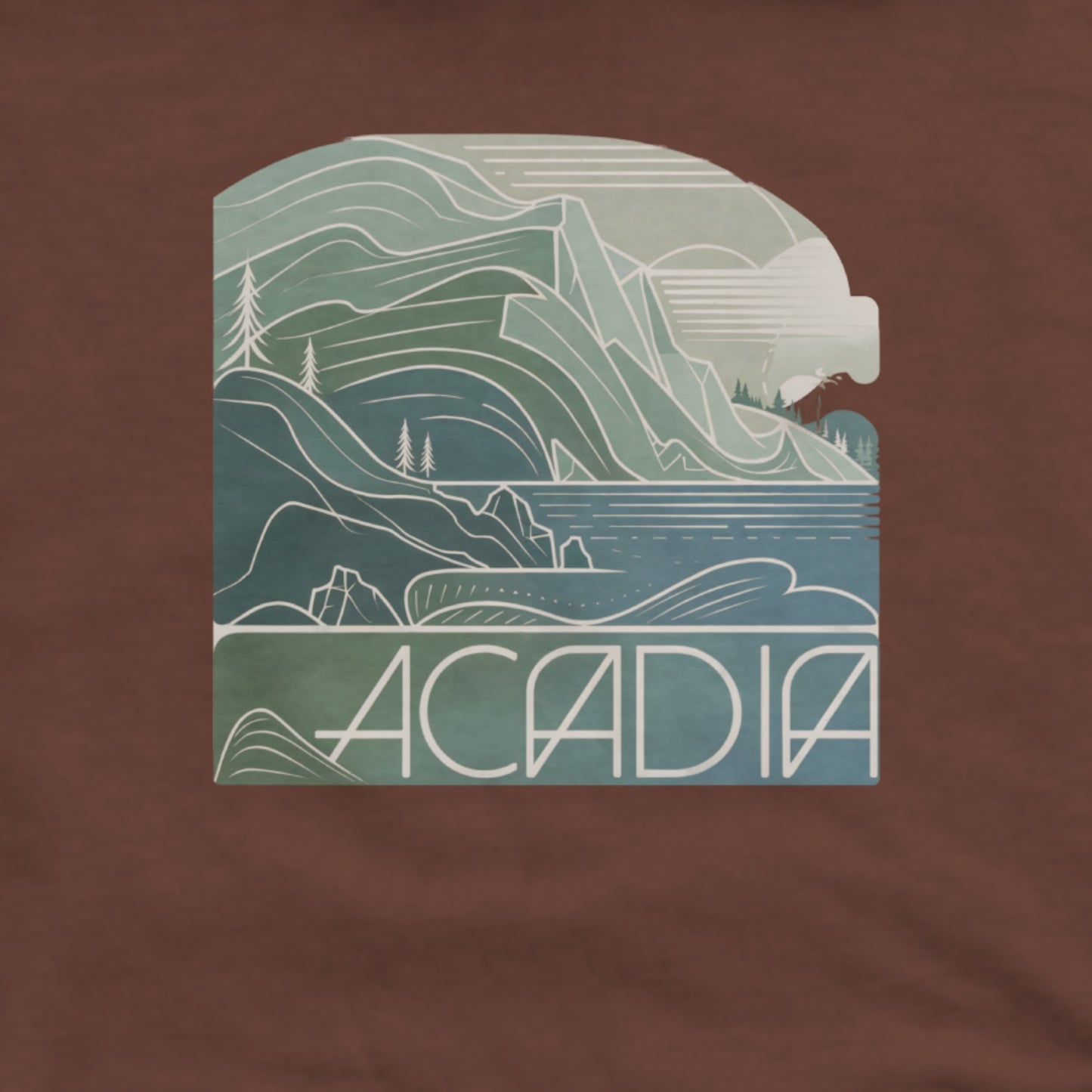 Acadia National Park Hoodie Adventure and Outdoors Themed Hoodie