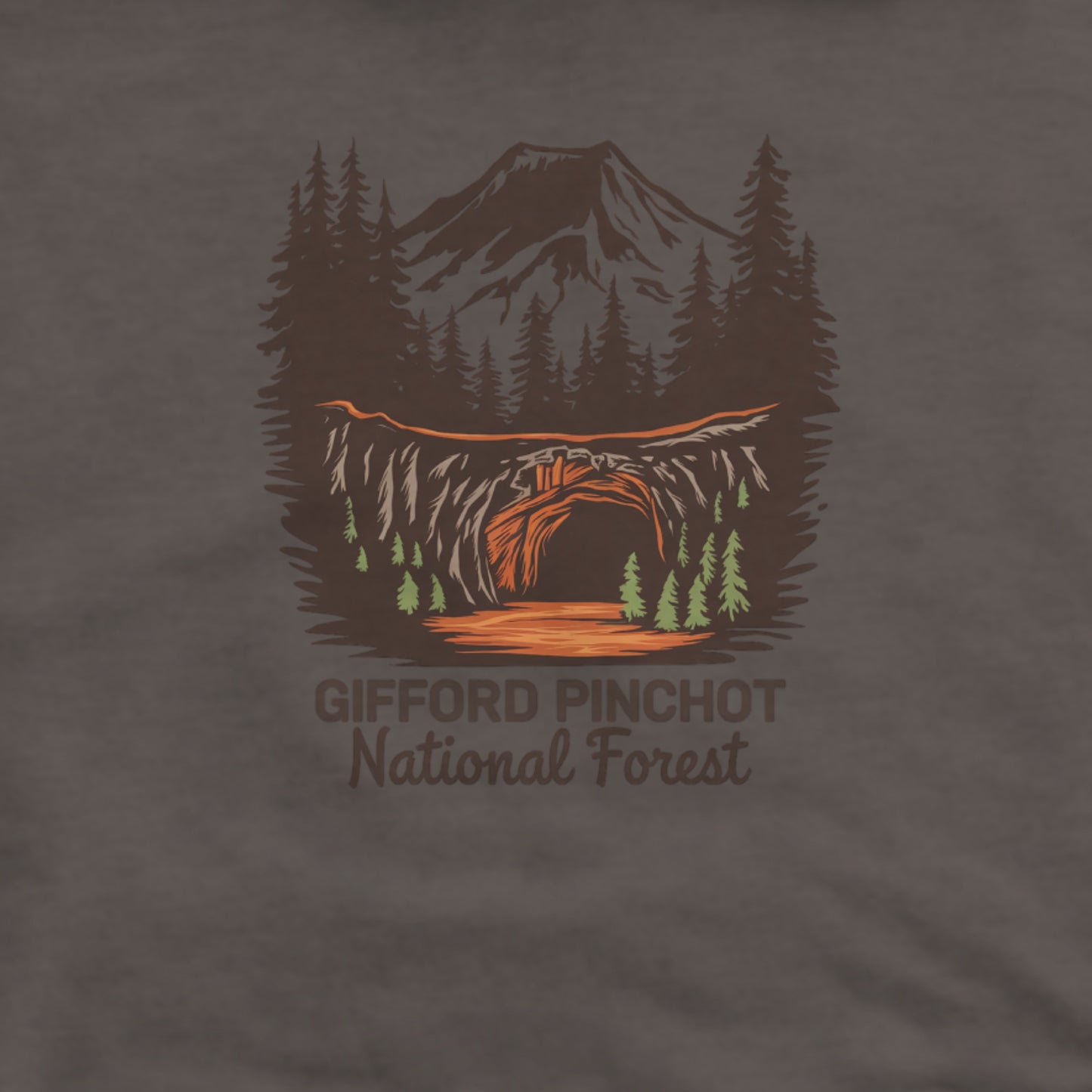 Gifford Pinchot National Forest Hoodie Adventure and Outdoors Themed Hoodie