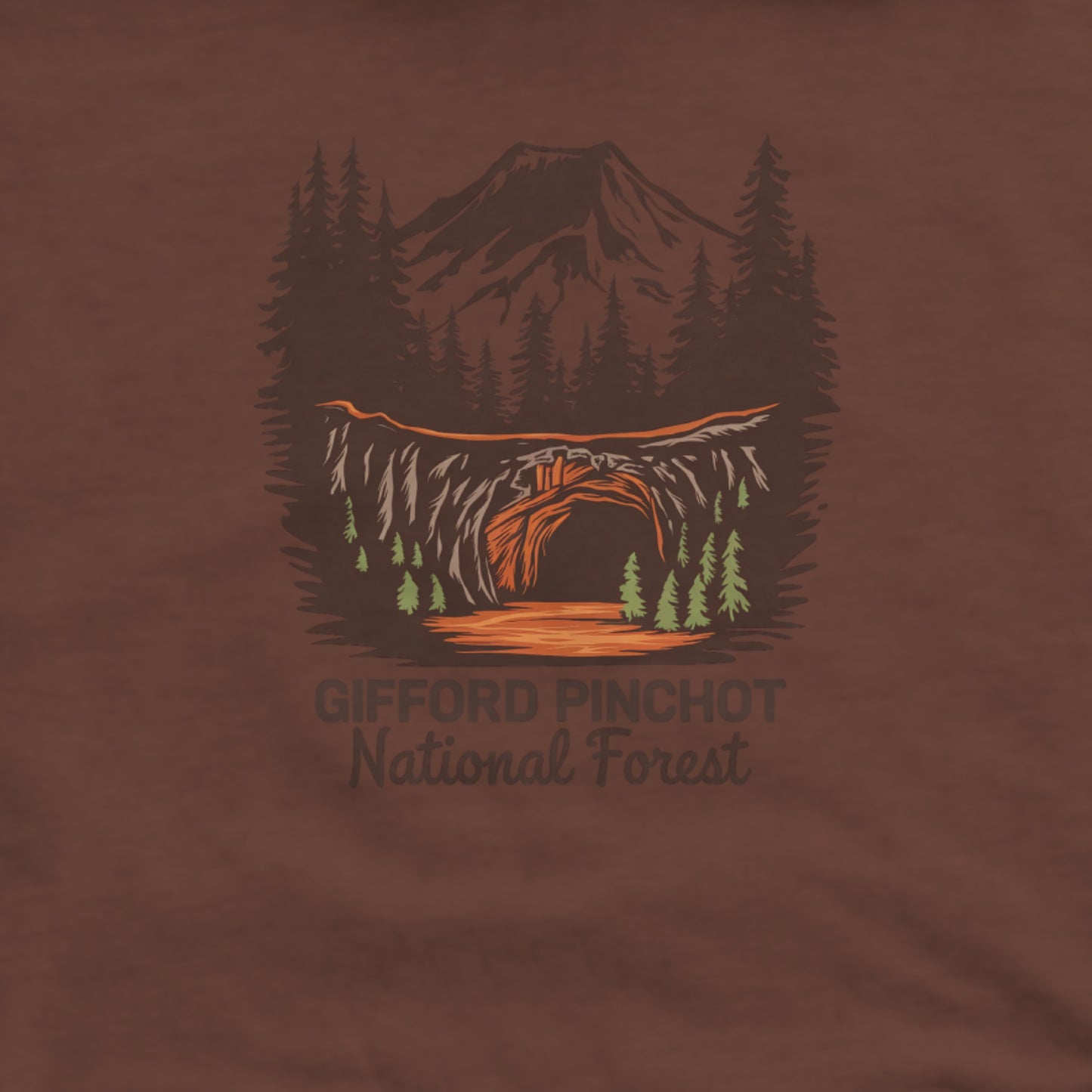 Gifford Pinchot National Forest Hoodie Adventure and Outdoors Themed Hoodie