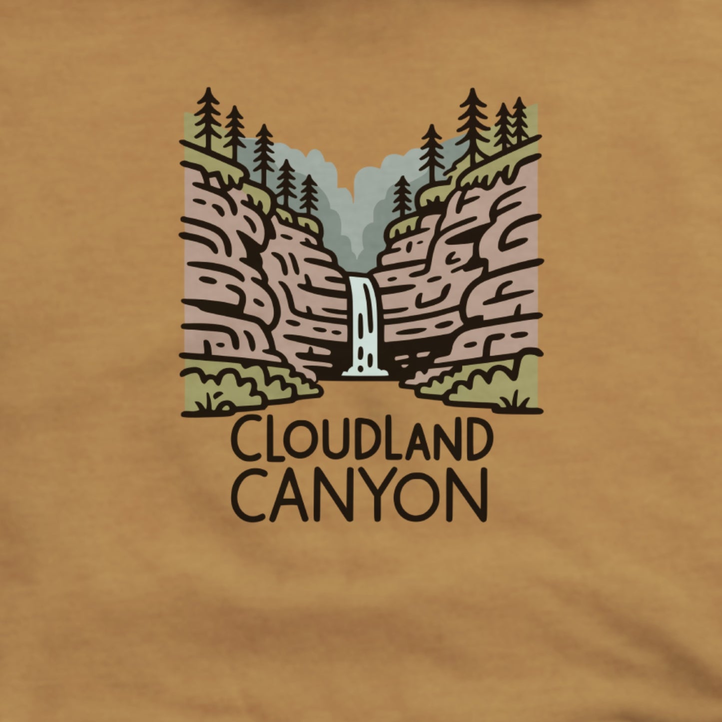 Cloudland Canyon State Park Hoodie Adventure and Outdoors Themed Hoodie