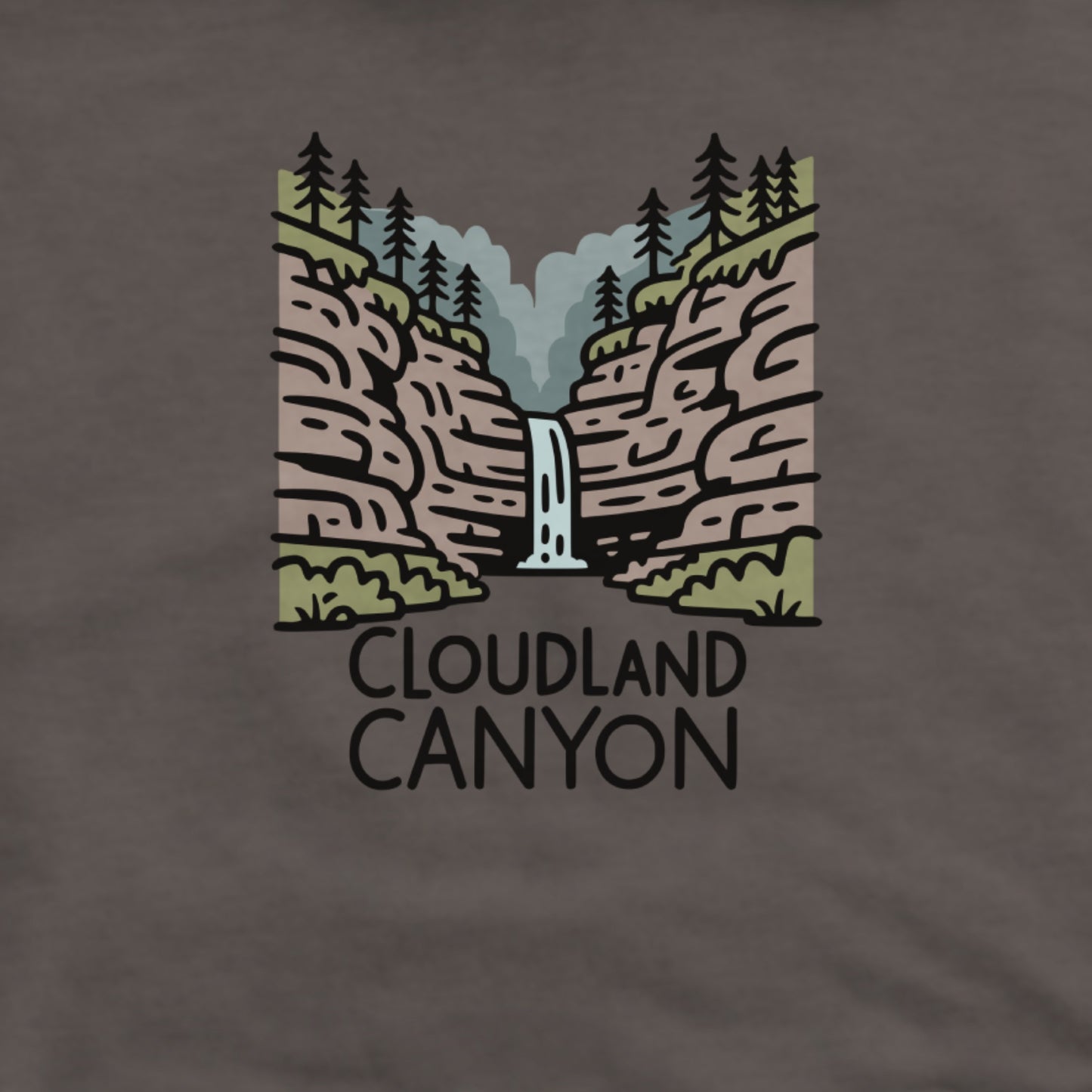 Cloudland Canyon State Park Hoodie Adventure and Outdoors Themed Hoodie