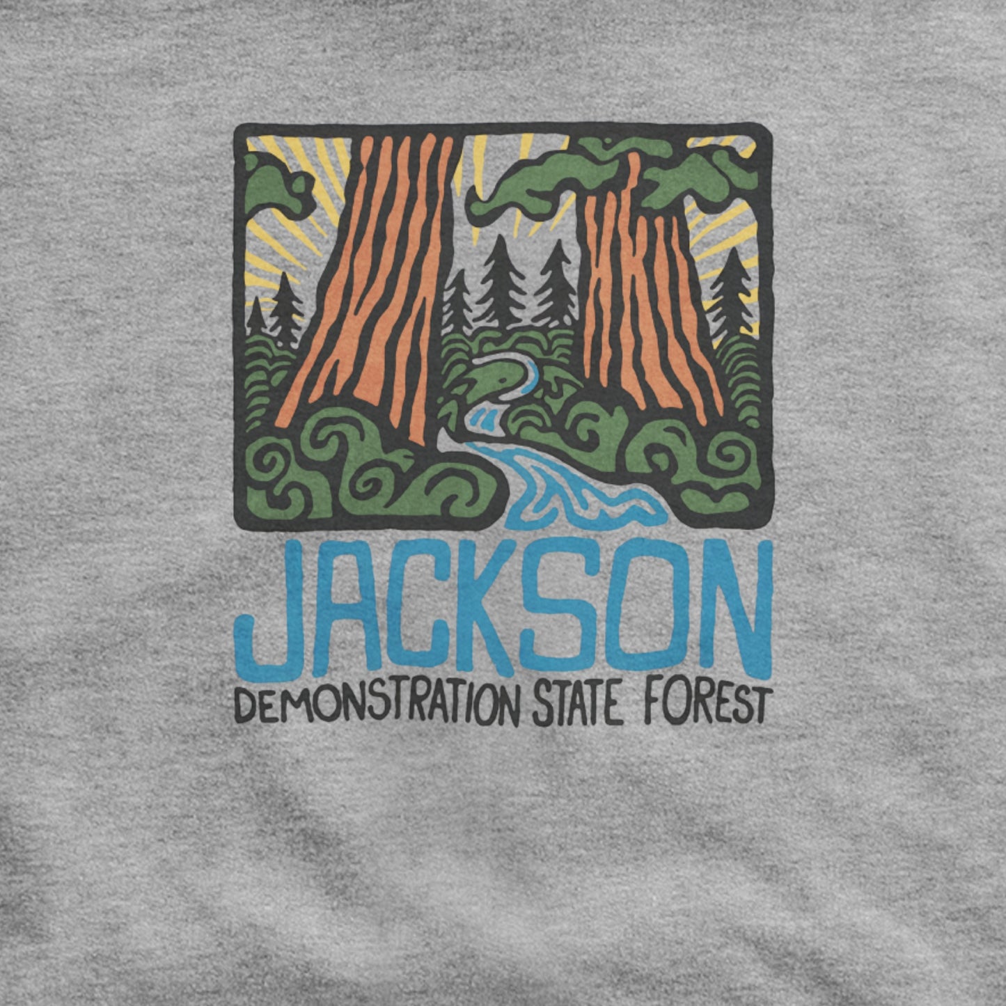 Jackson Demonstration State Forest Hoodie Adventure and Outdoors Themed Hoodie