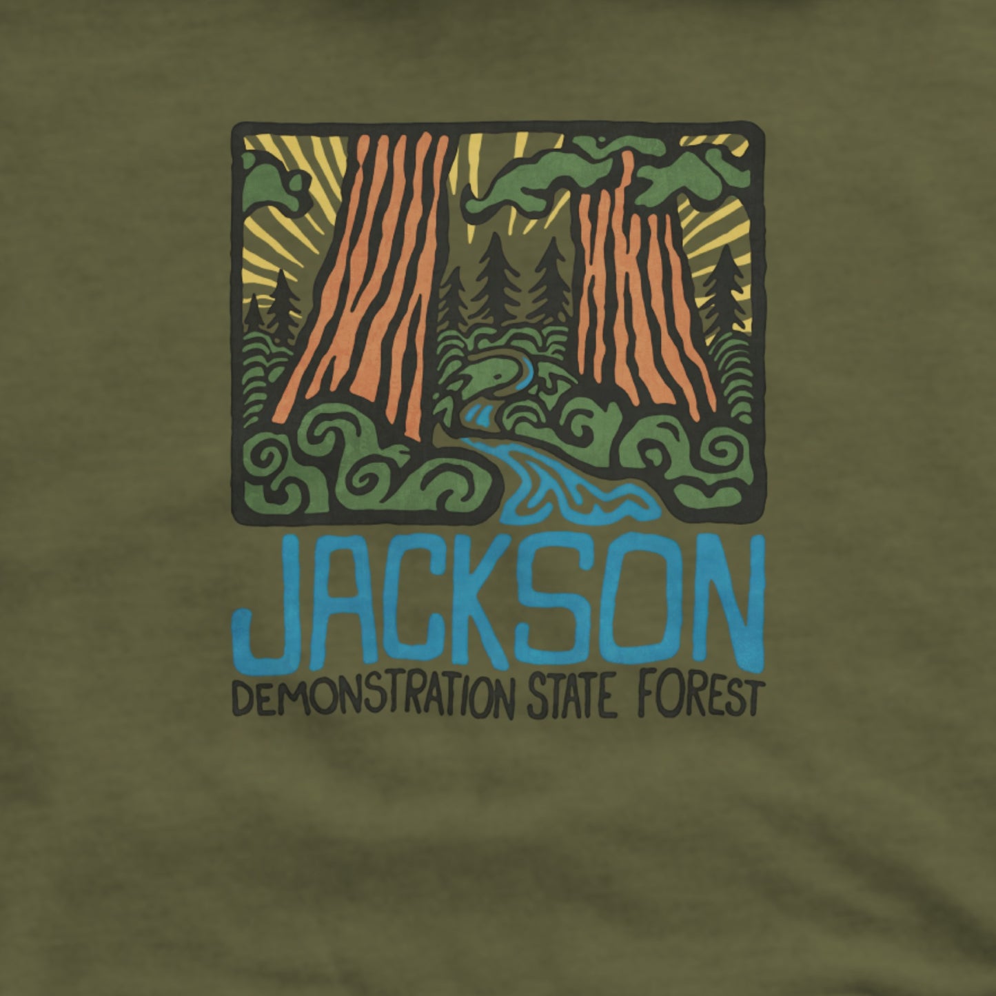 Jackson Demonstration State Forest Hoodie Adventure and Outdoors Themed Hoodie