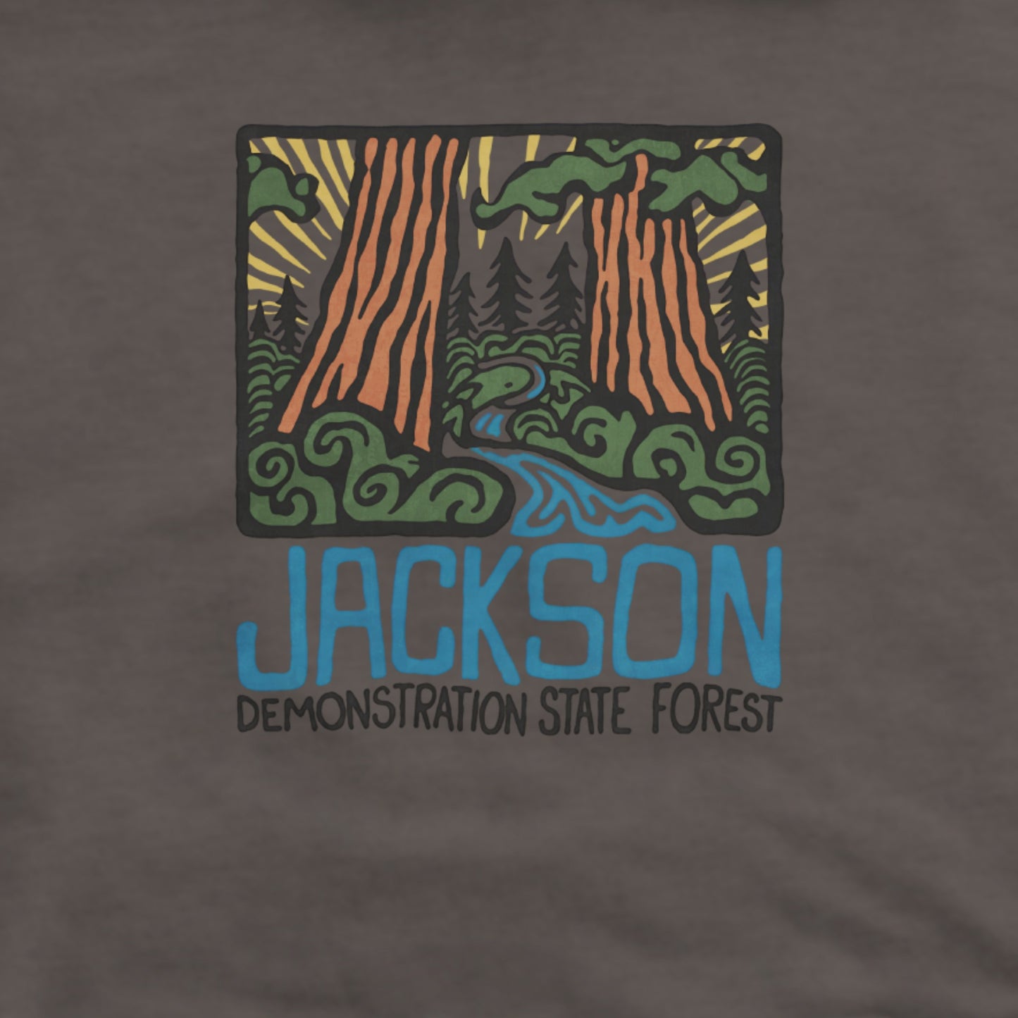Jackson Demonstration State Forest Hoodie Adventure and Outdoors Themed Hoodie
