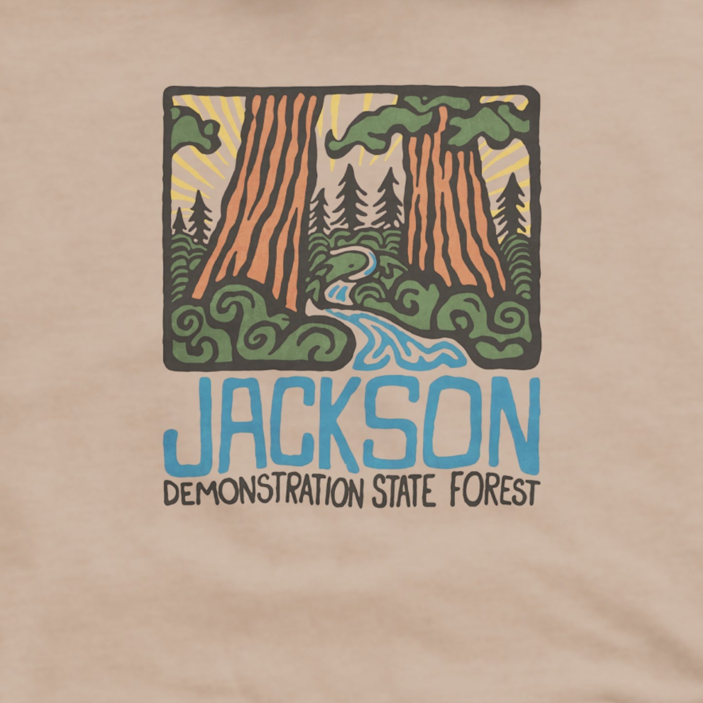 Jackson Demonstration State Forest Hoodie Adventure and Outdoors Themed Hoodie