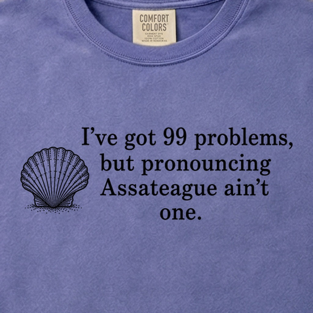 99 Problems Assateague Ain't One Cotton T-Shirt