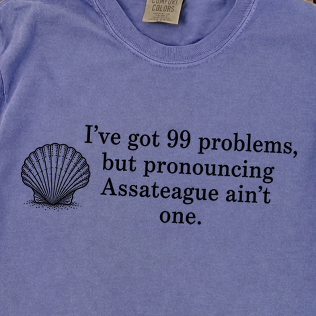 99 Problems Assateague Ain't One Premium Long Sleeve