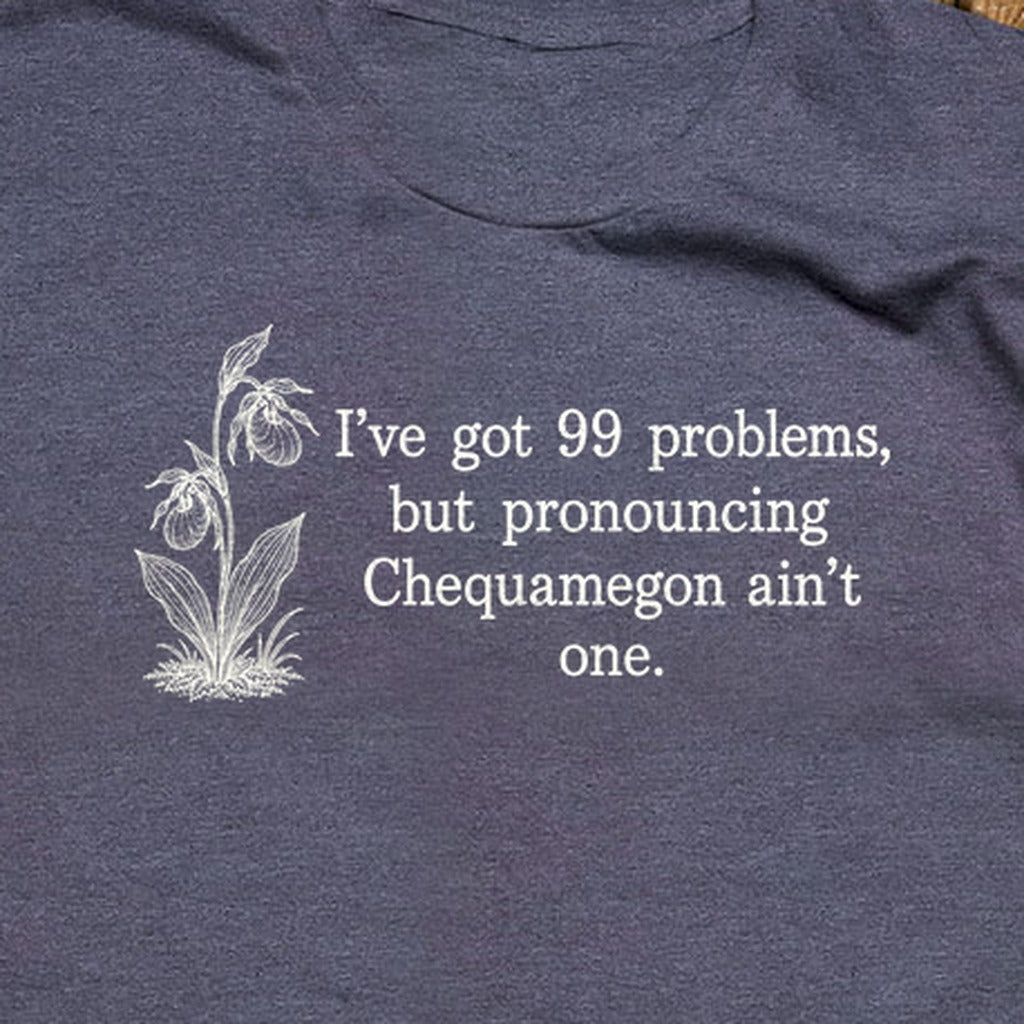 99 Problems Chequamegon Ain't One T-Shirt