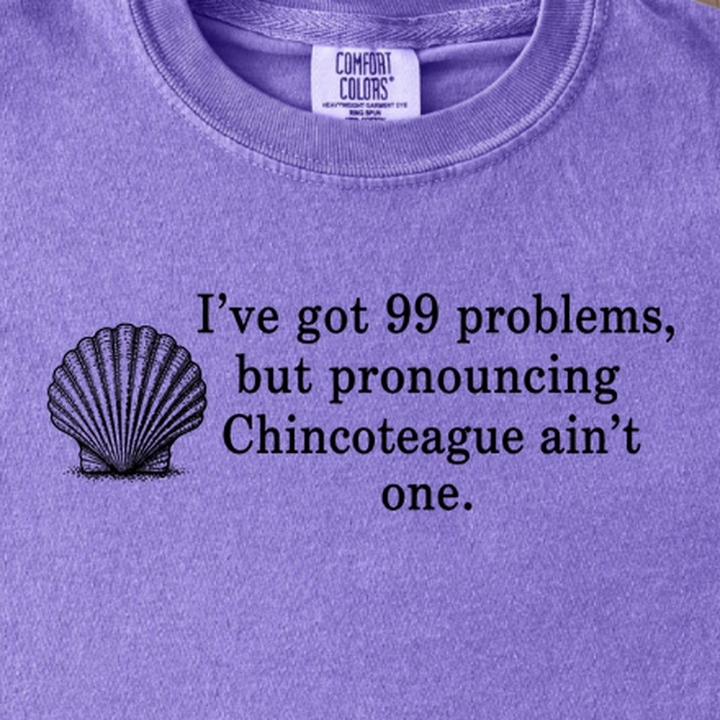 99 Problems Chincoteague Ain't One Kids Cotton T-Shirt