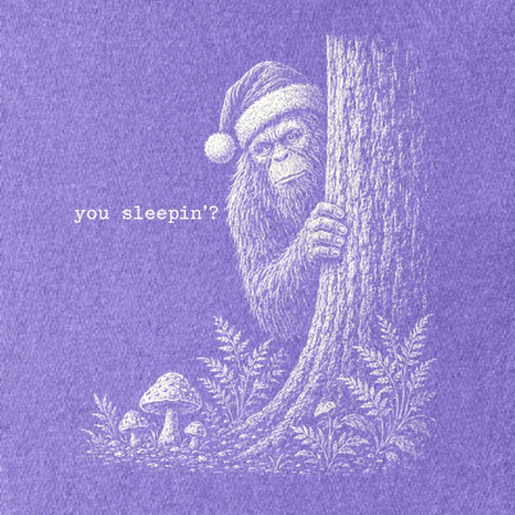 Sasquatch Santa You Sleepin Kids Cotton T-Shirt