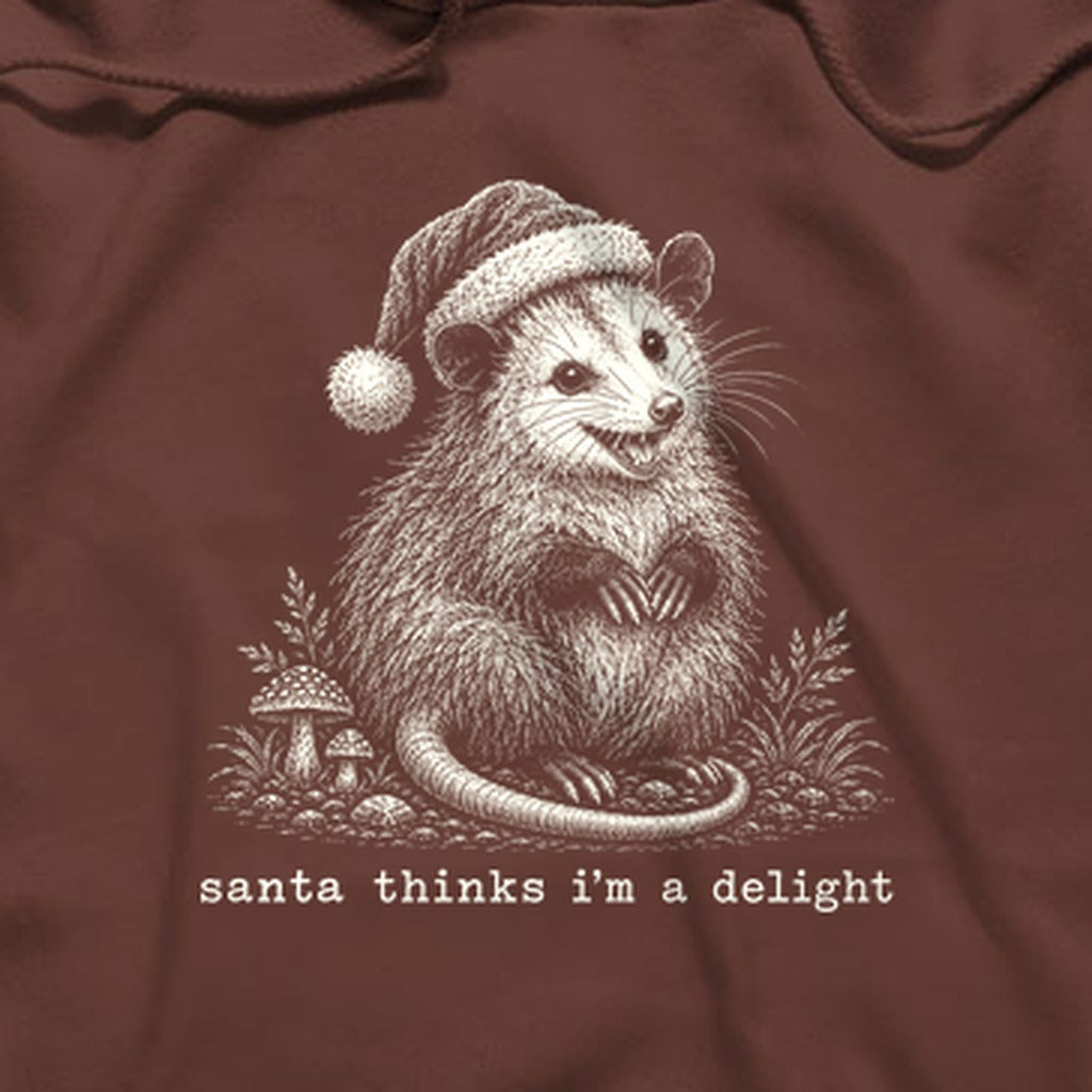 Santa Thinks I Am a Delight Possum Hoodie