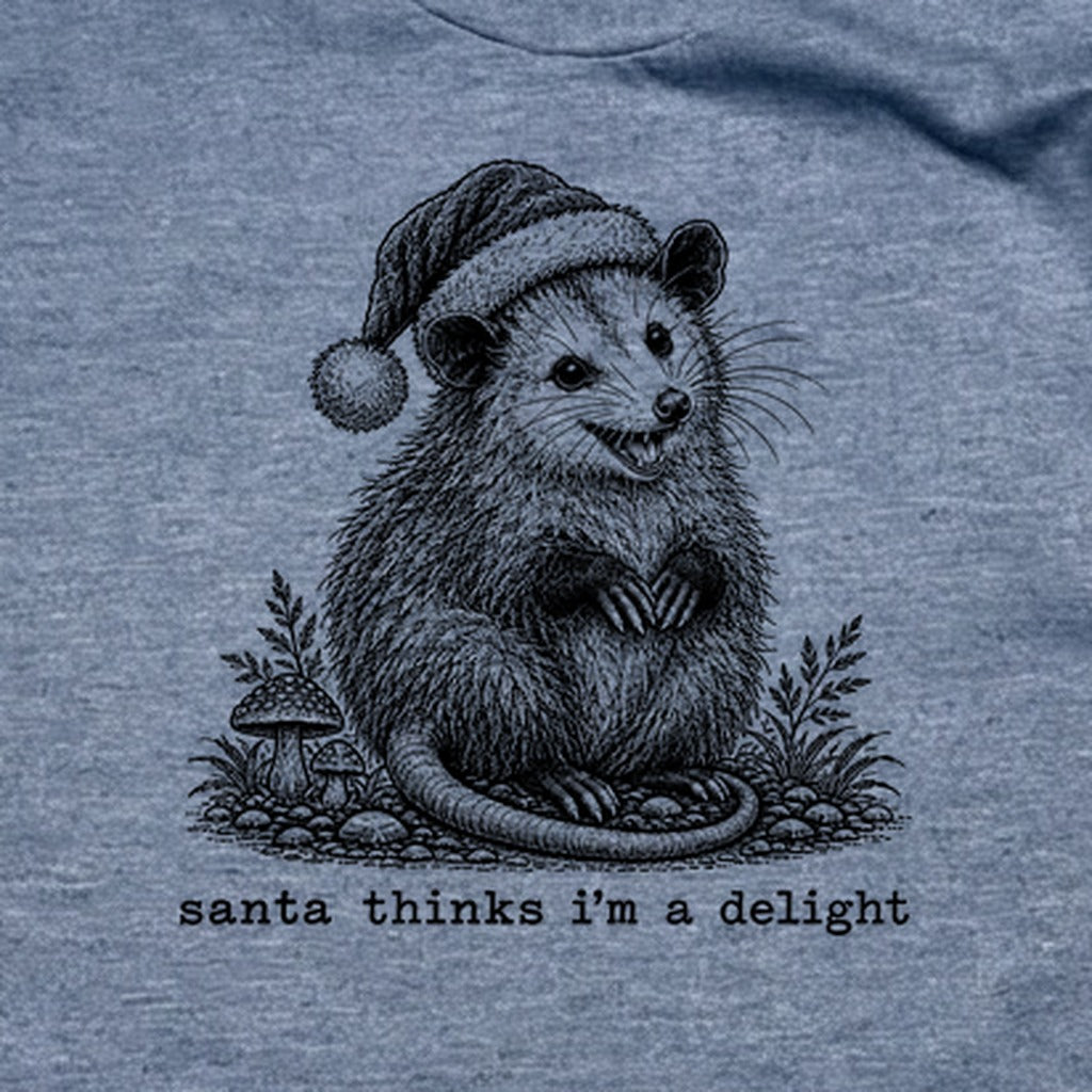 Santa Thinks I Am a Delight Possum T-Shirt