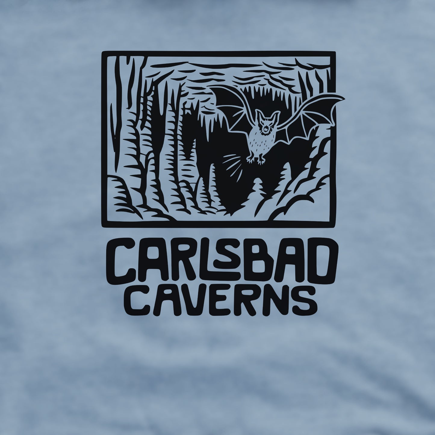 Carlsbad Caverns National Park Crewneck Sweatshirt Adventure and Outdoors Themed Sweatshirt