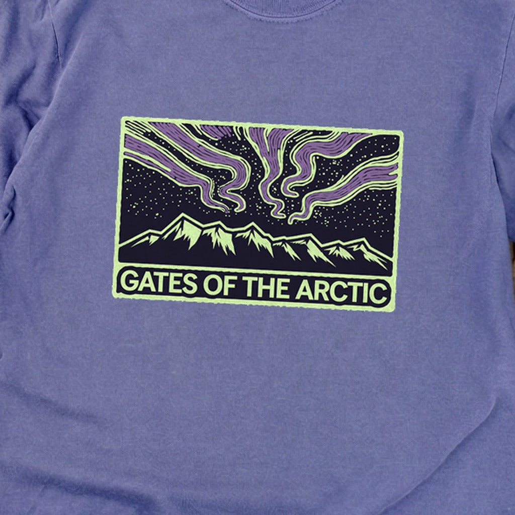 Gates of the Artic at Night Premium Long Sleeve
