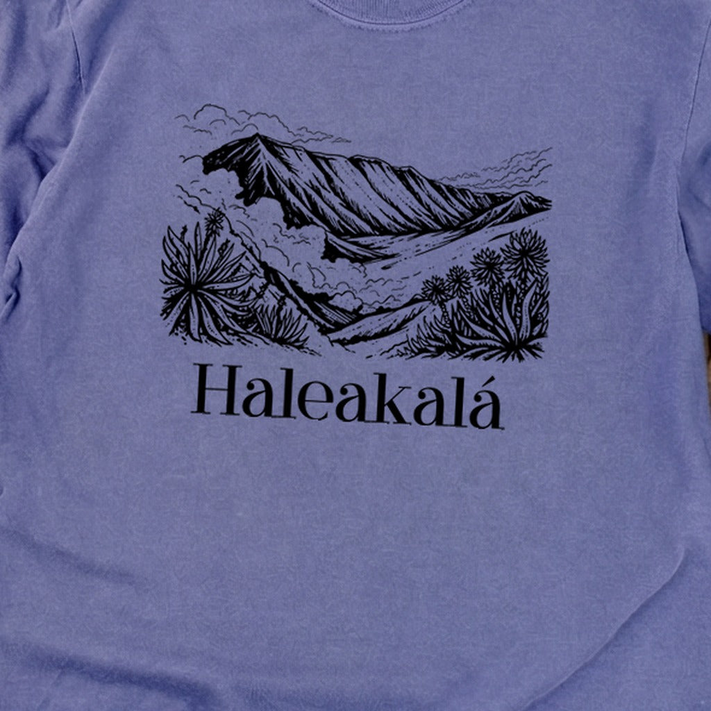 Haleakalā National Park Line Drawing Premium Long Sleeve