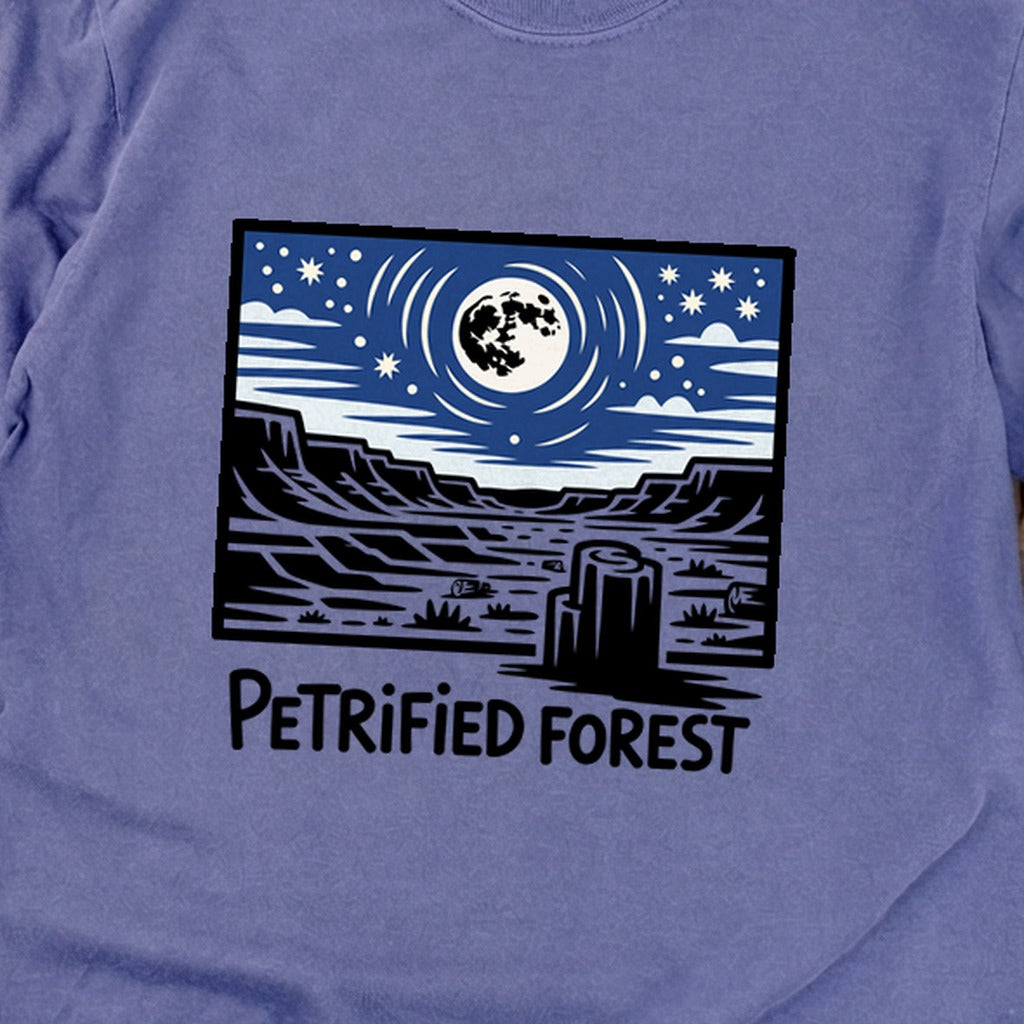 Petrified Forest National Park at Night Premium Long Sleeve