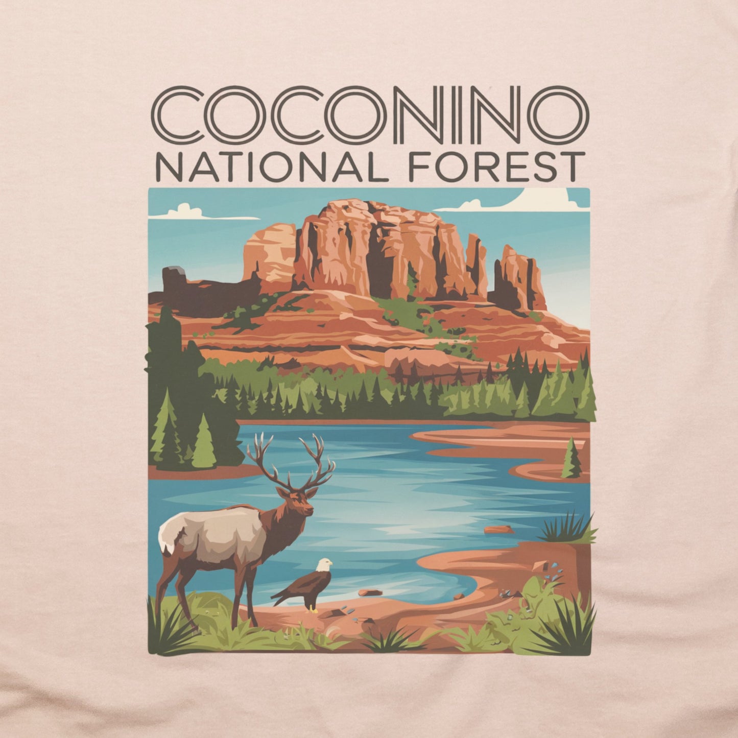 Coconino National Forest T-Shirt Adventure and Outdoors Themed T-Shirt