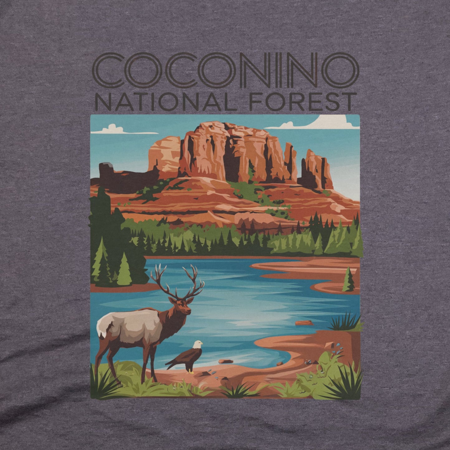 Coconino National Forest T-Shirt Adventure and Outdoors Themed T-Shirt