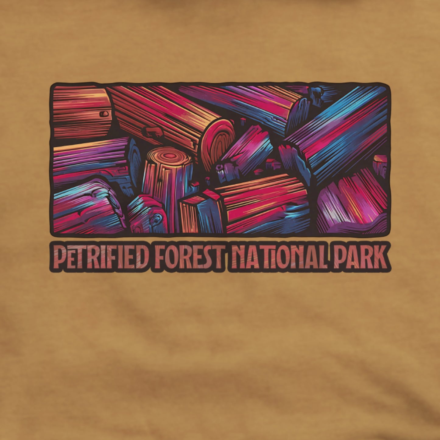 Petrified Forest National Park Hoodie Adventure and Outdoors Themed Hoodie