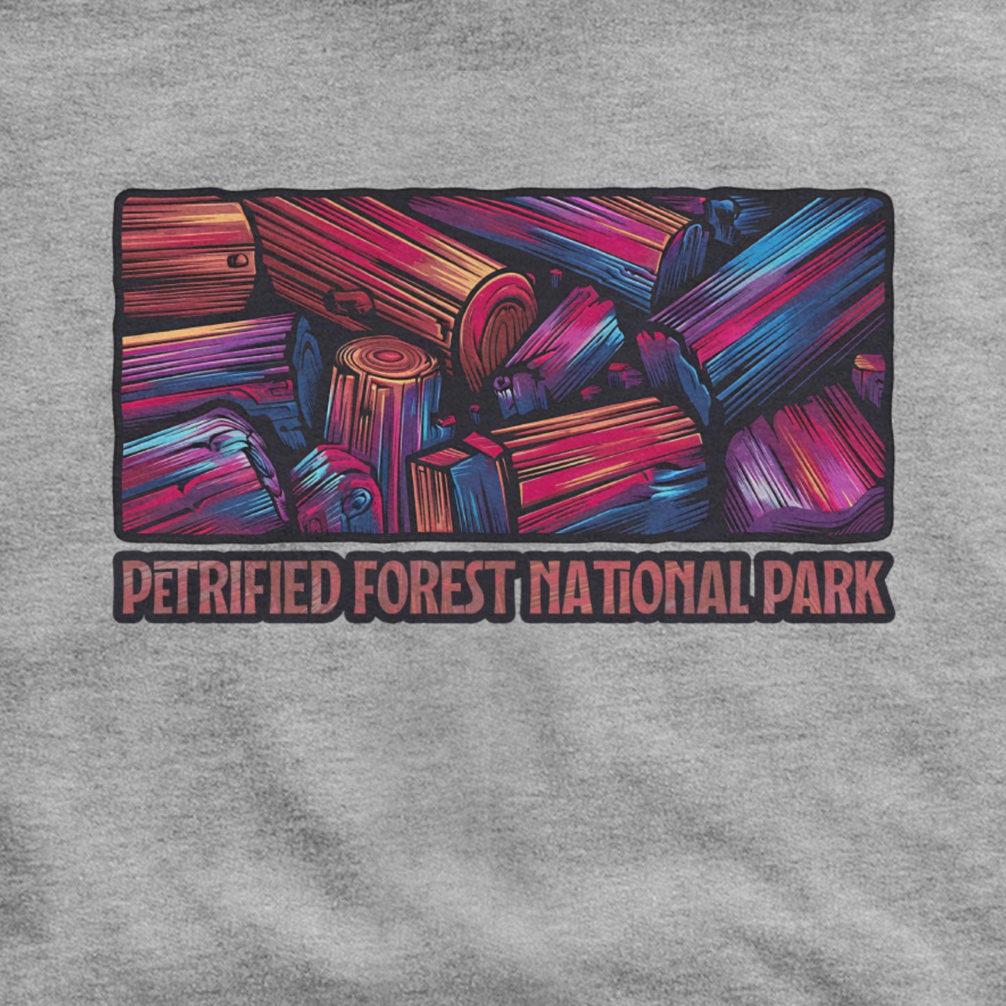 Petrified Forest National Park Hoodie Adventure and Outdoors Themed Hoodie