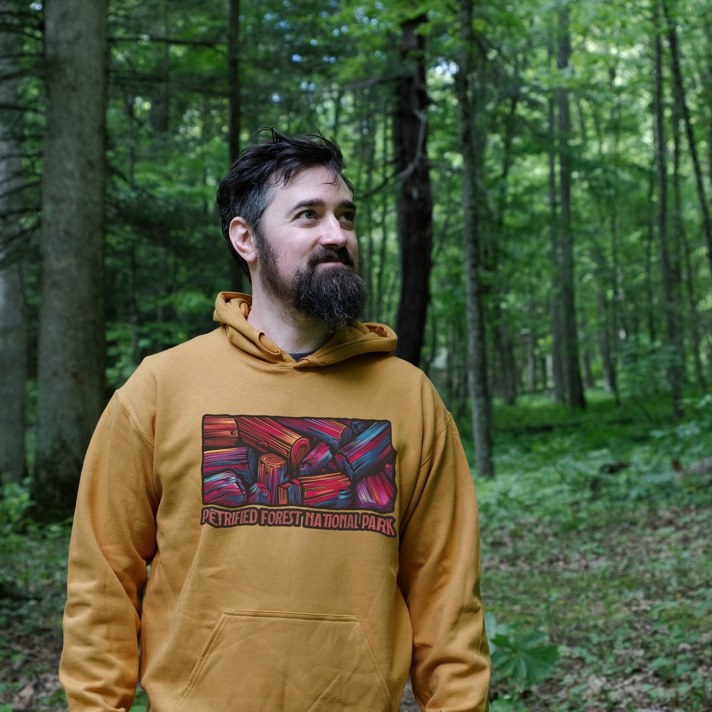 Petrified Forest National Park Hoodie Adventure and Outdoors Themed Hoodie