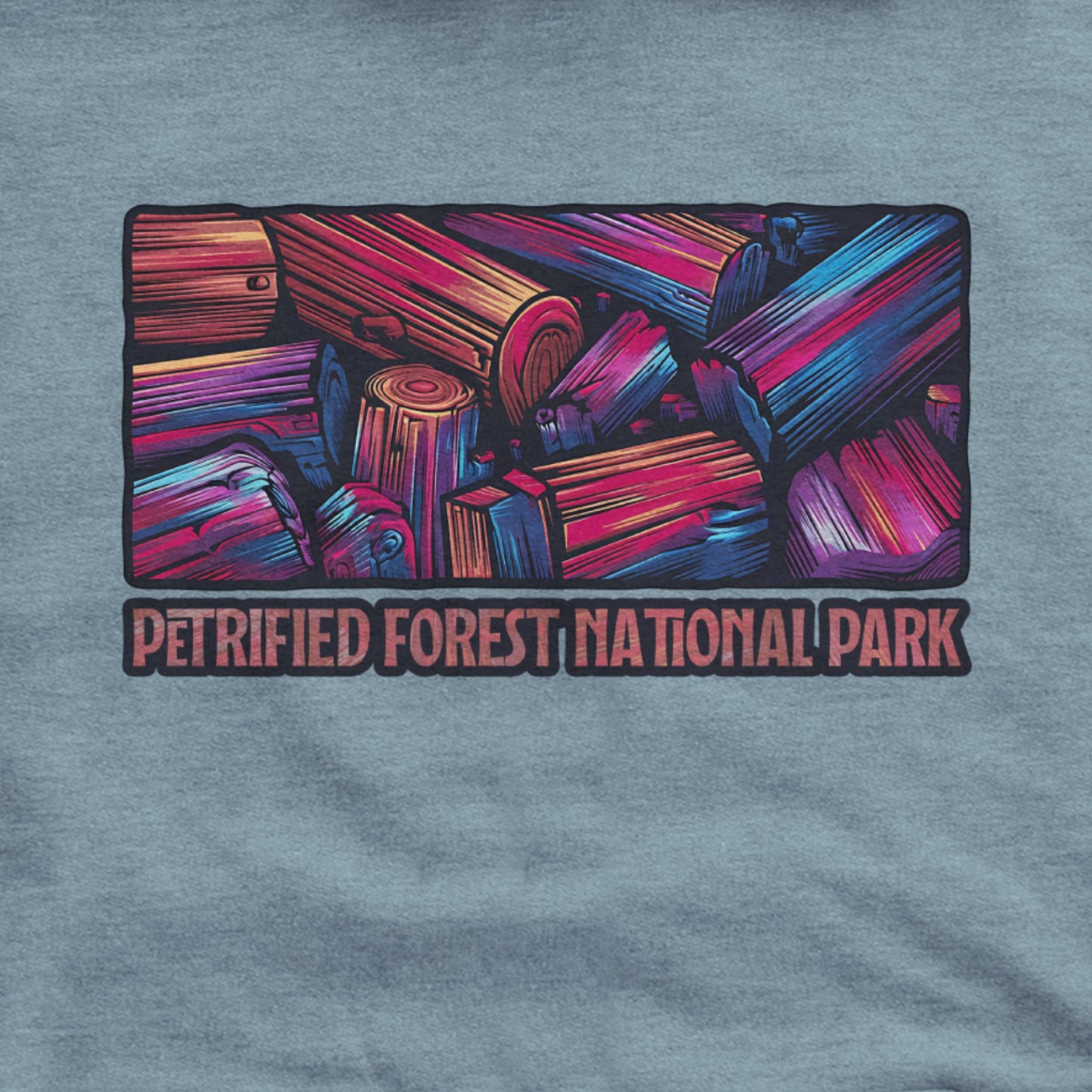 Petrified Forest National Park Hoodie Adventure and Outdoors Themed Hoodie