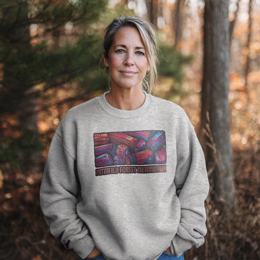 Petrified Forest National Park Crewneck Sweatshirt Adventure and Outdoors Themed Sweatshirt