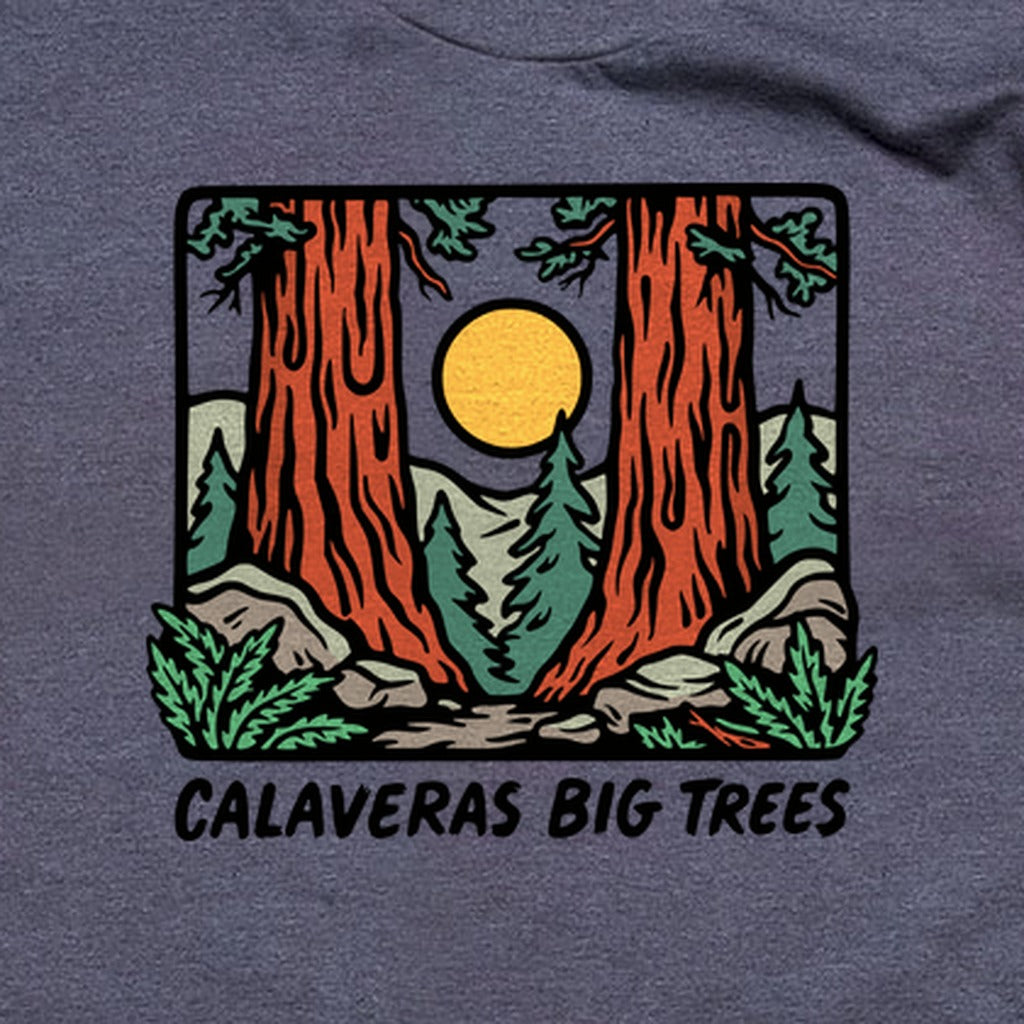Calaveras Big Trees State Park T-Shirt